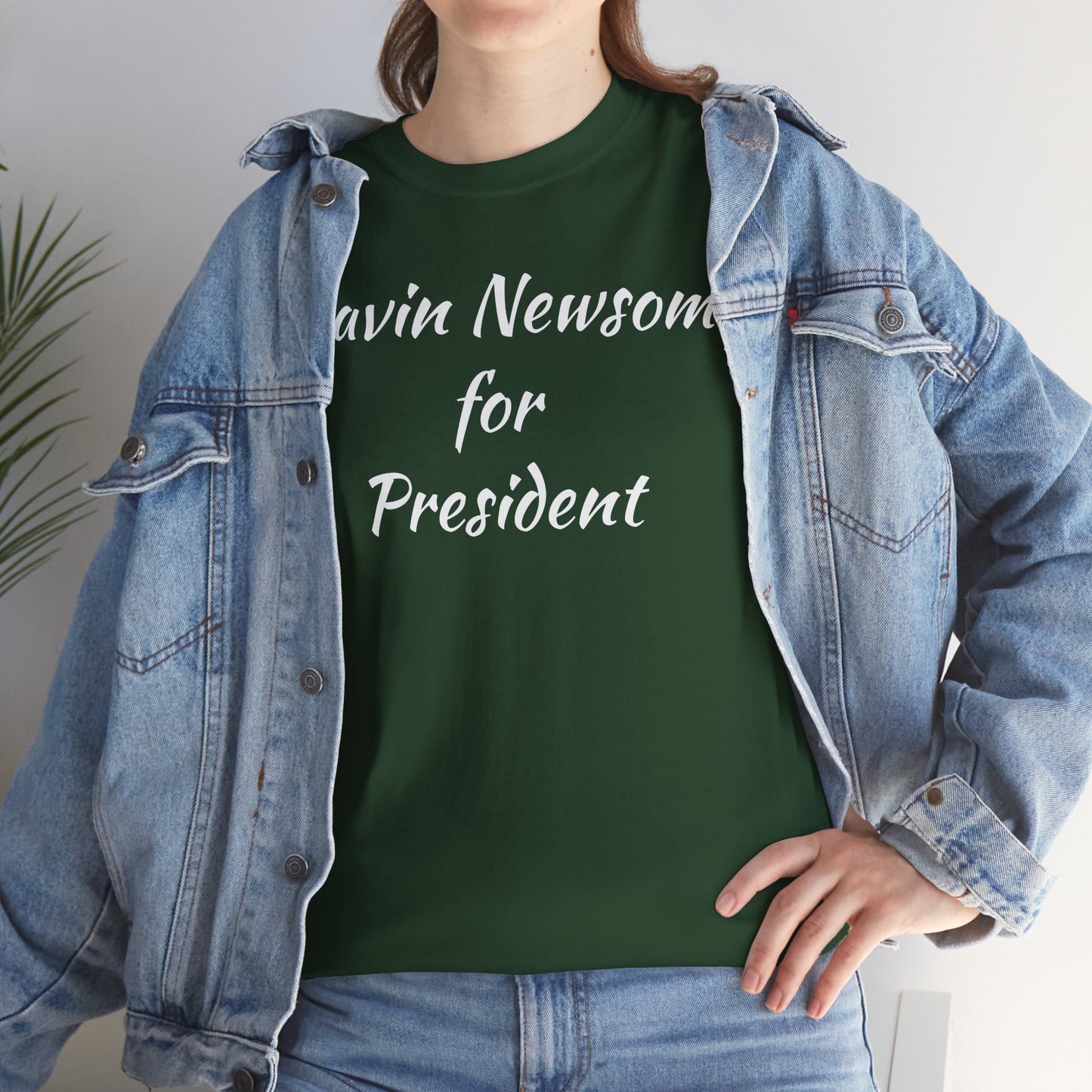 Gavin Newsom Campaign