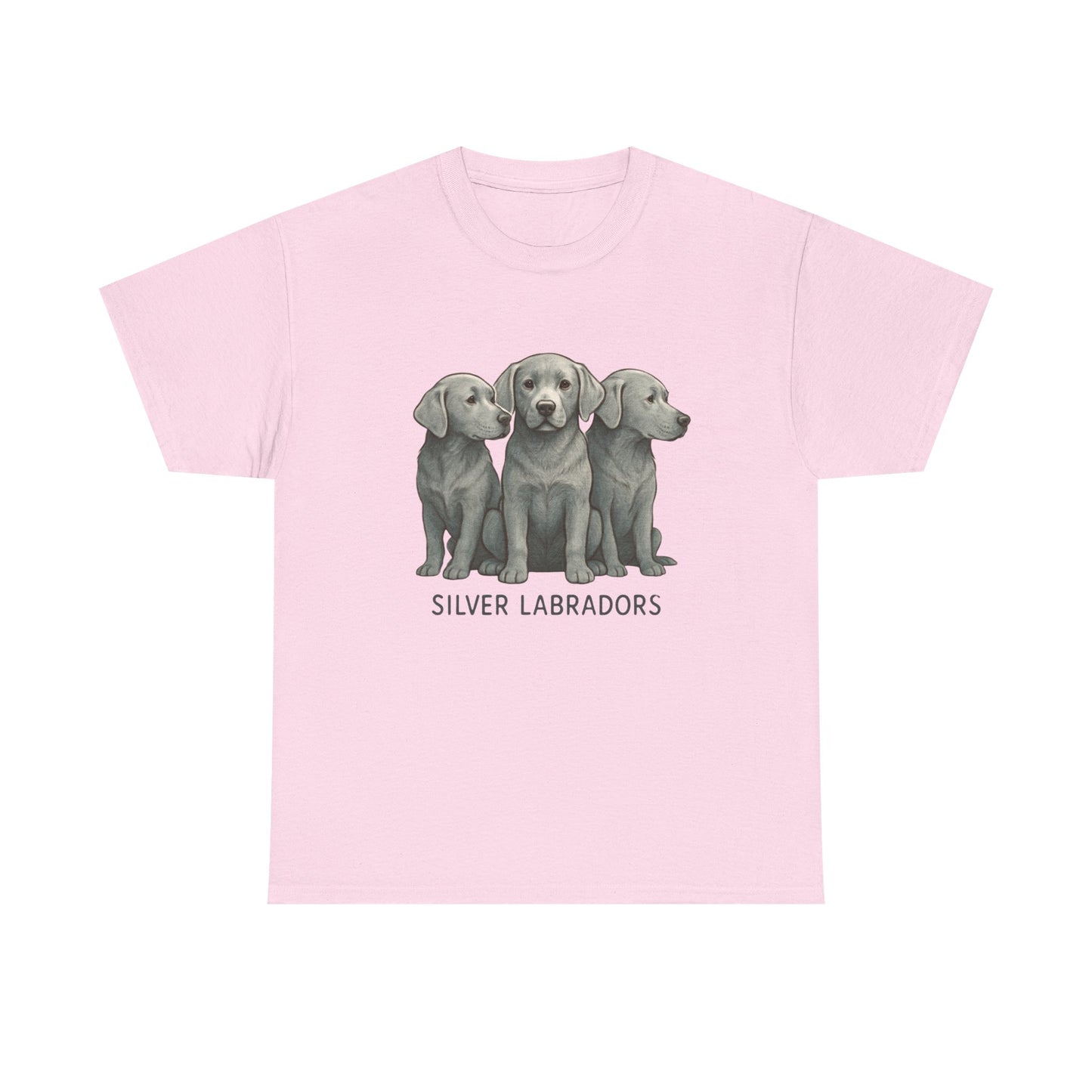 Silver Labrador