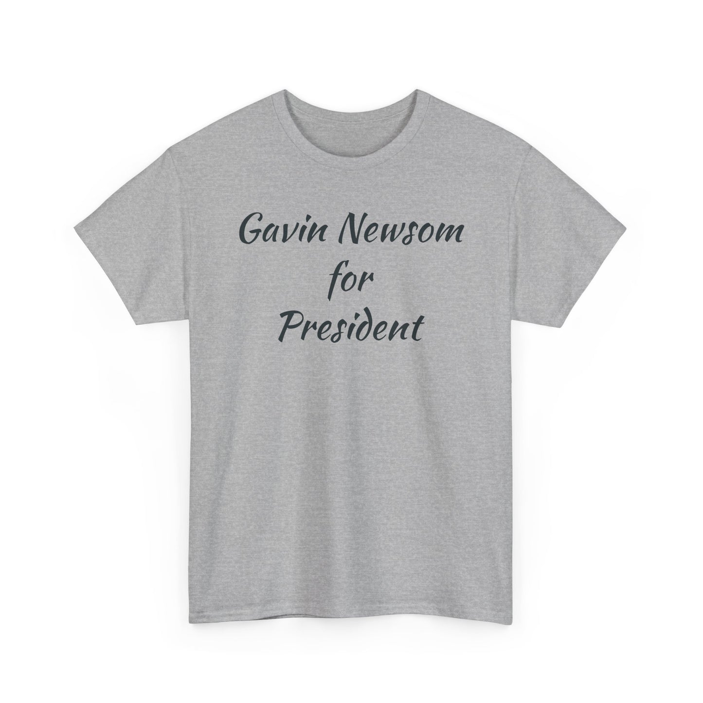 Gavin Newsom Campaign