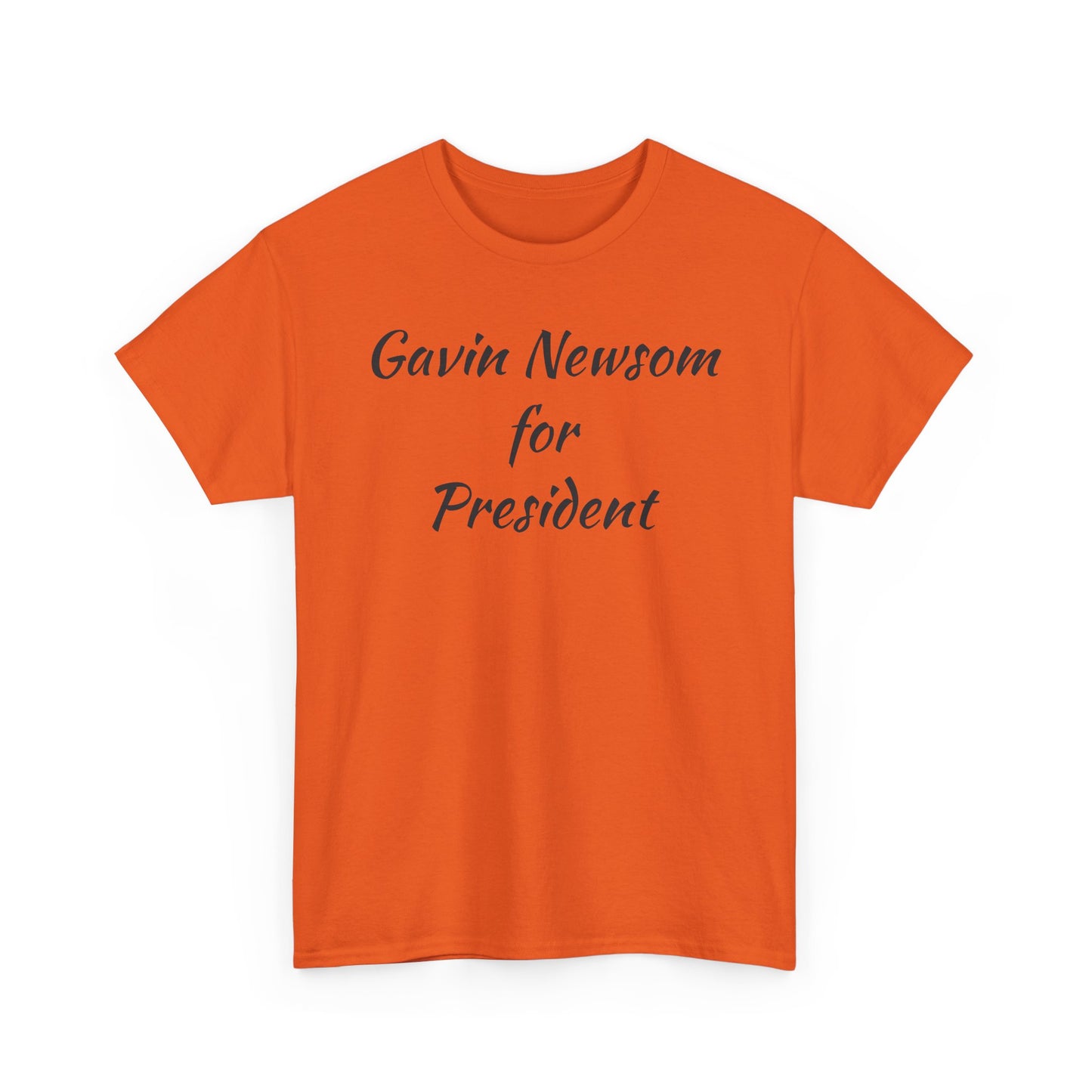 Gavin Newsom Campaign