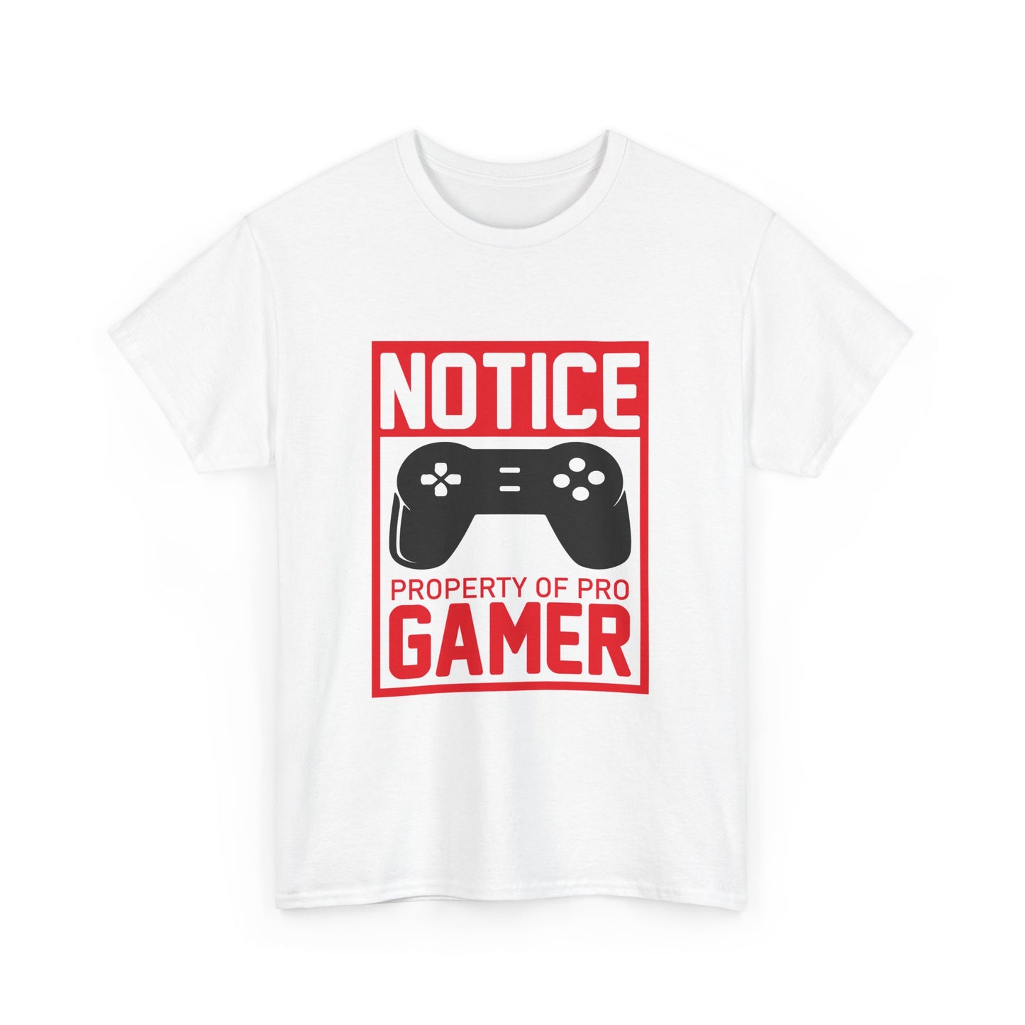 Pro Gamer Notice