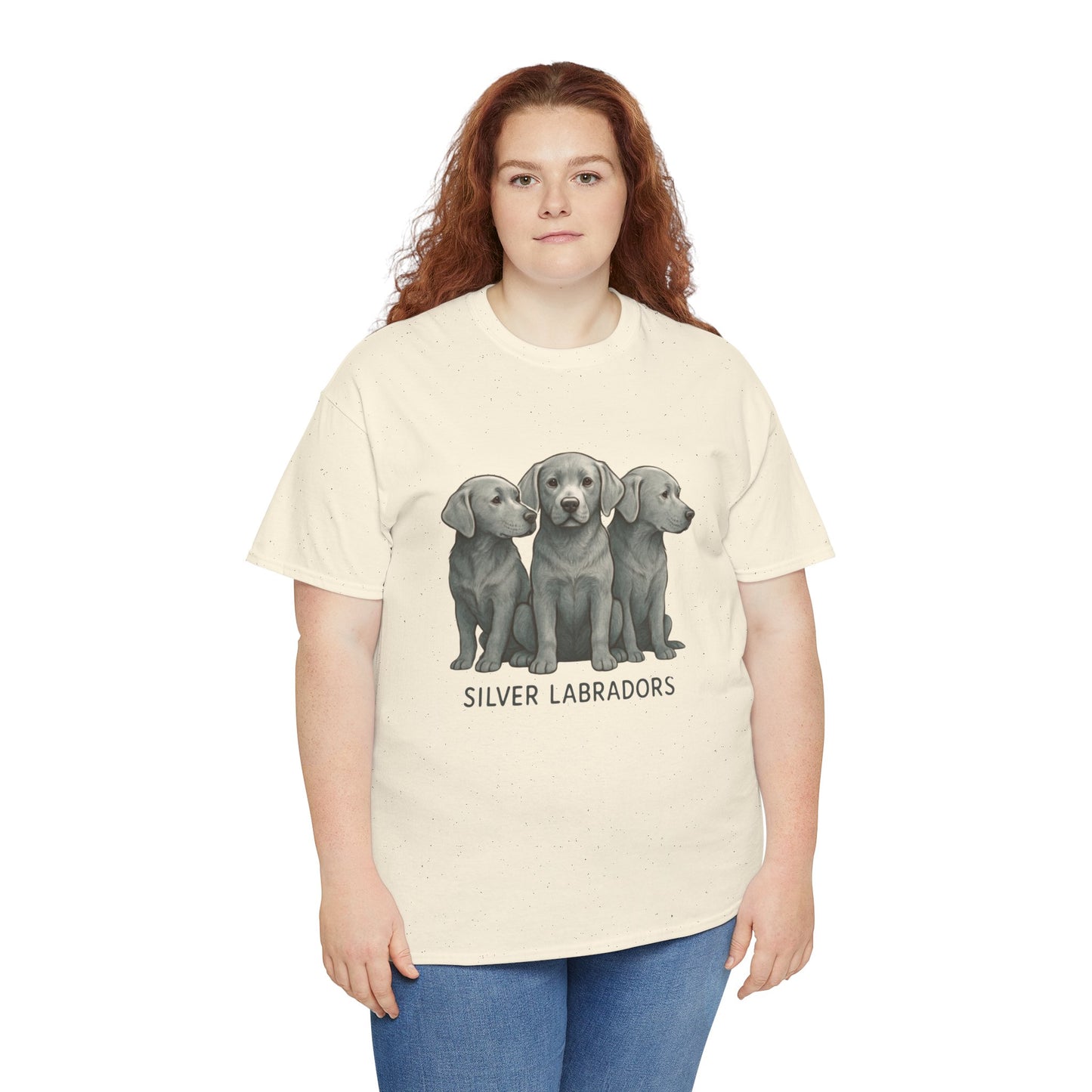 Silver Labrador