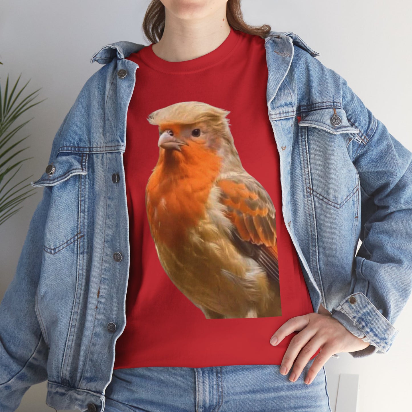 Robin Illustration T-Shirt — Cute Red-Breast Bird Graphic Tee