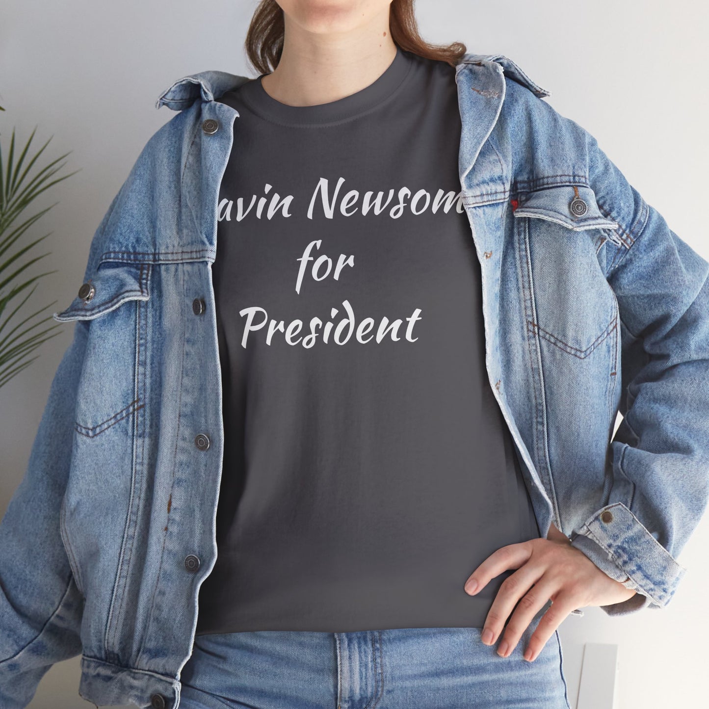Gavin Newsom Campaign