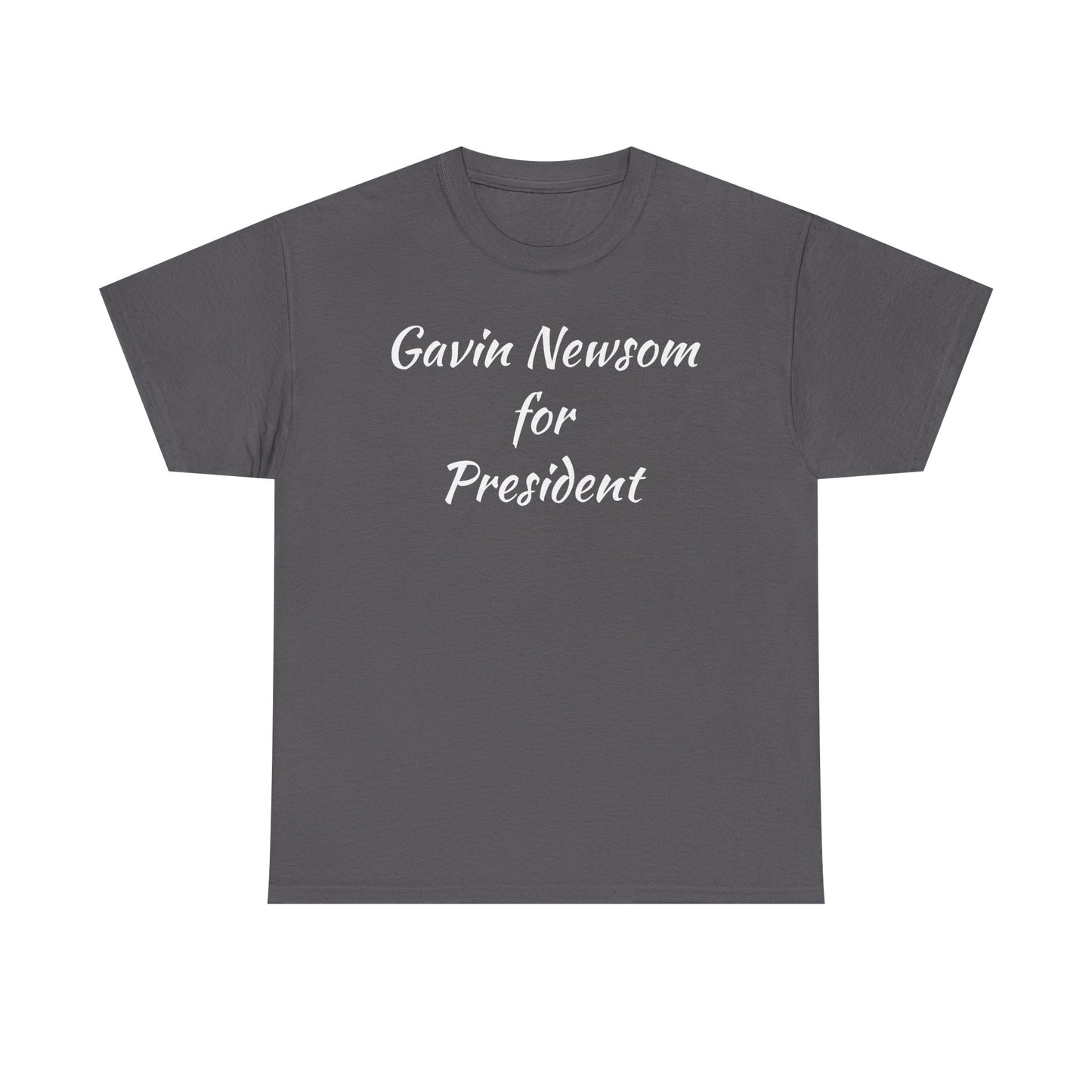 Gavin Newsom Campaign