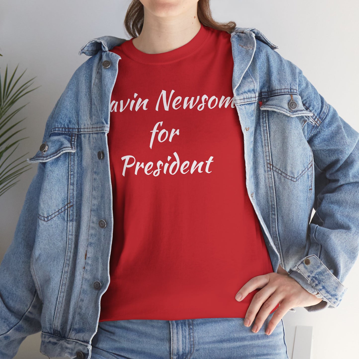 Gavin Newsom Campaign