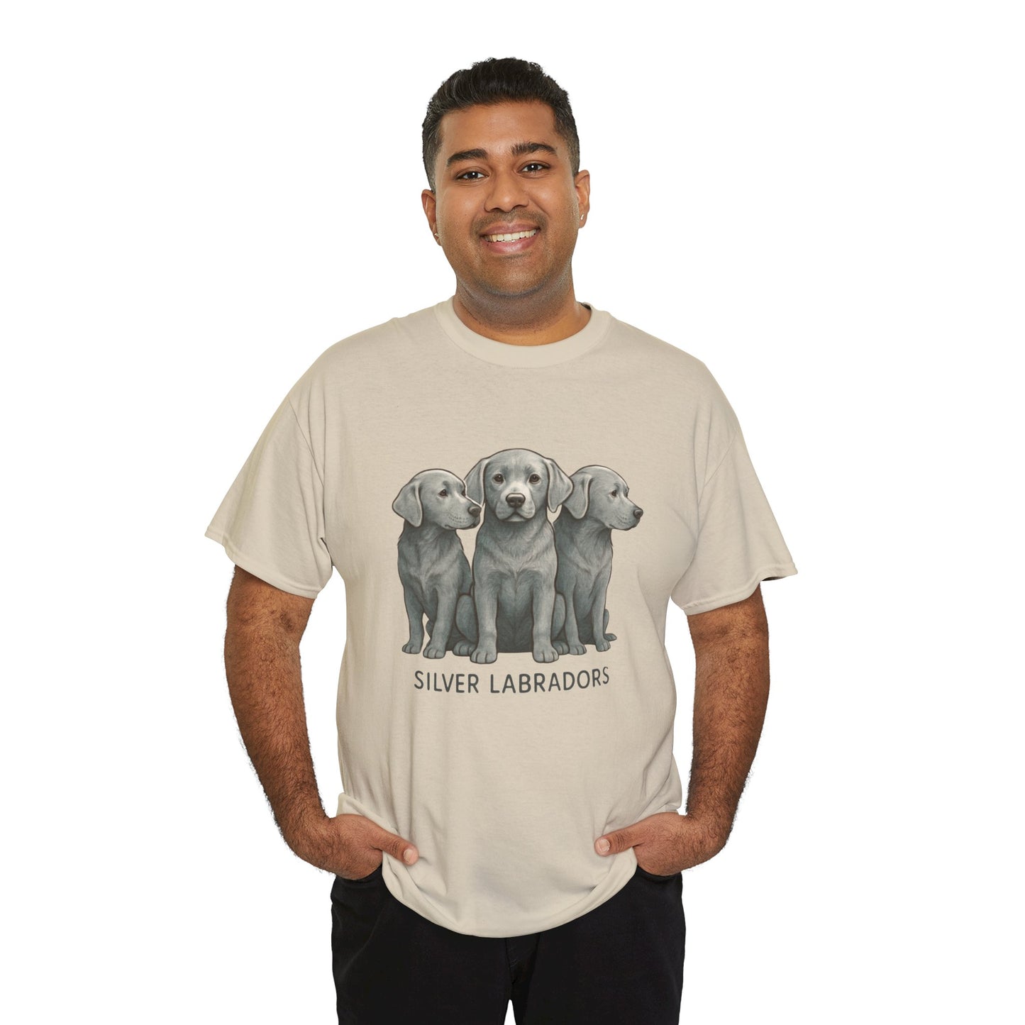 Silver Labrador