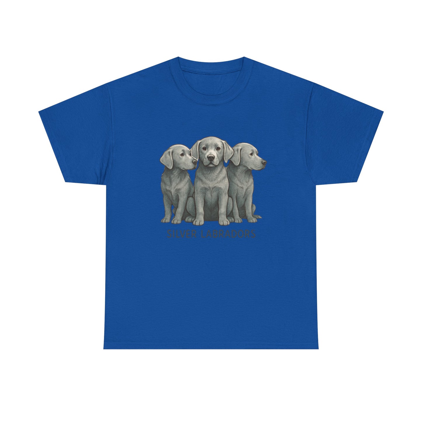 Silver Labrador