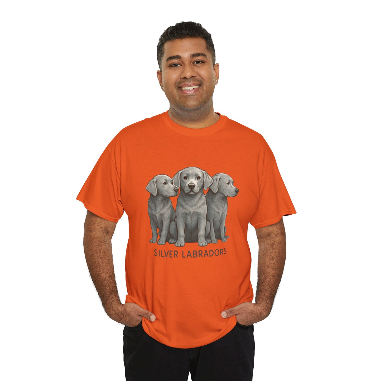 Silver Labrador