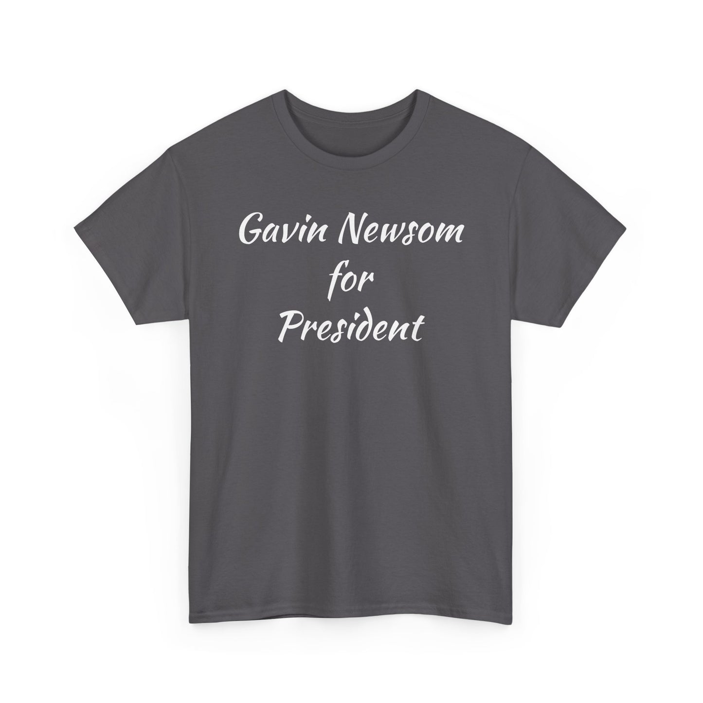 Gavin Newsom Campaign
