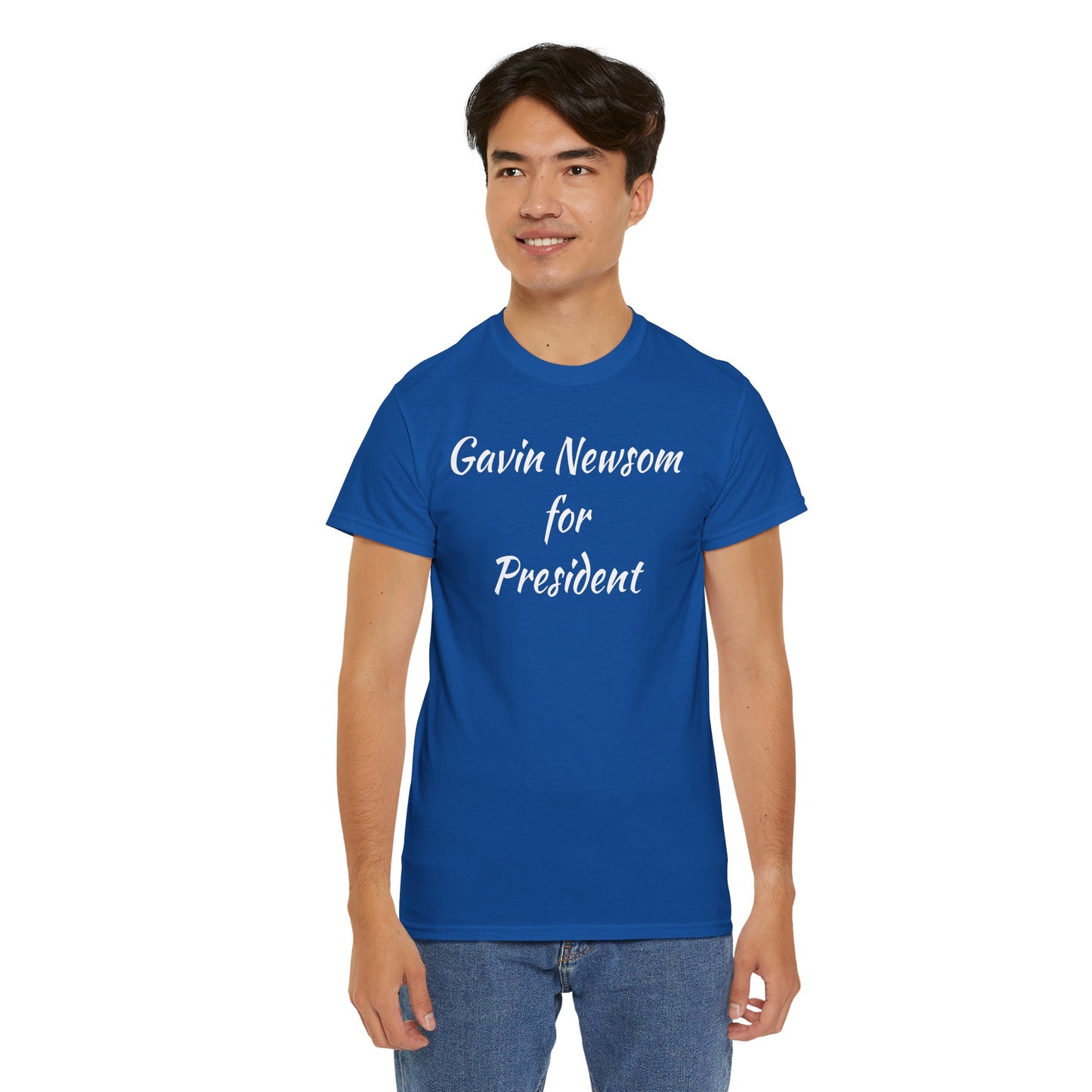 Gavin Newsom Campaign