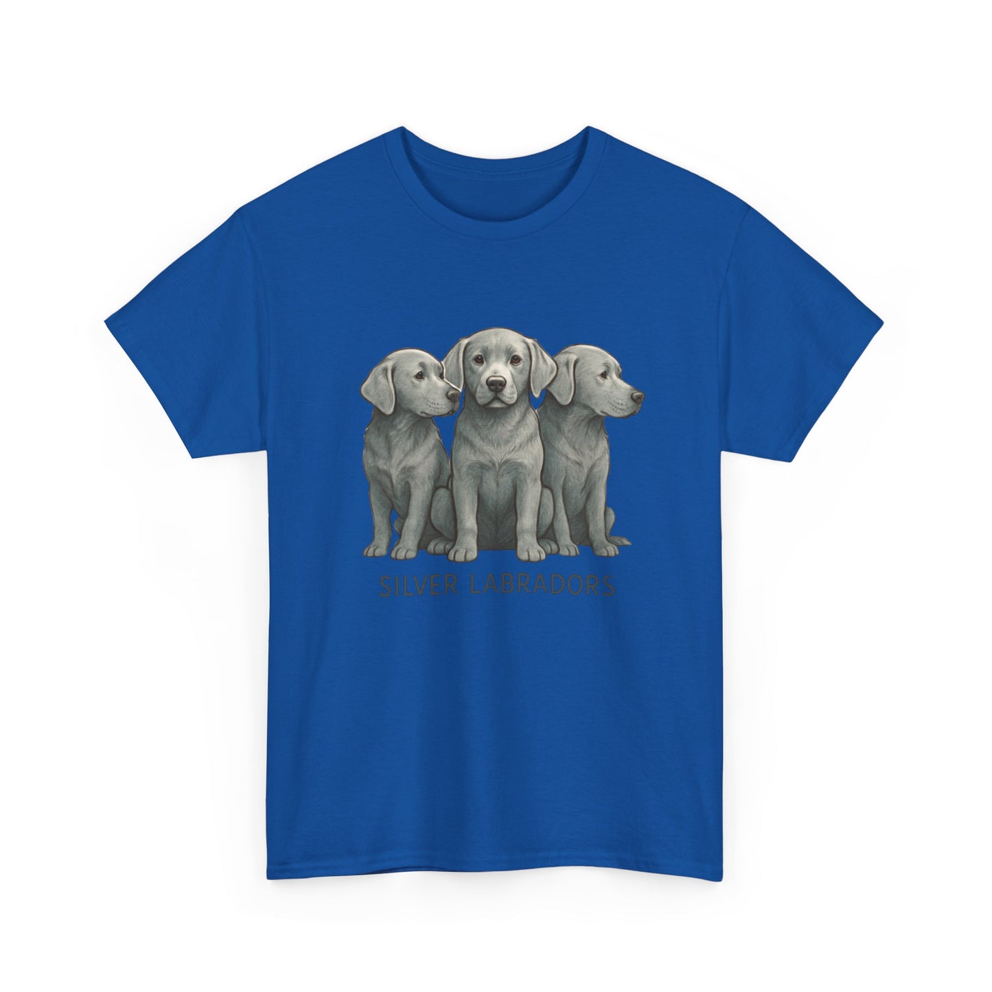 Silver Labrador