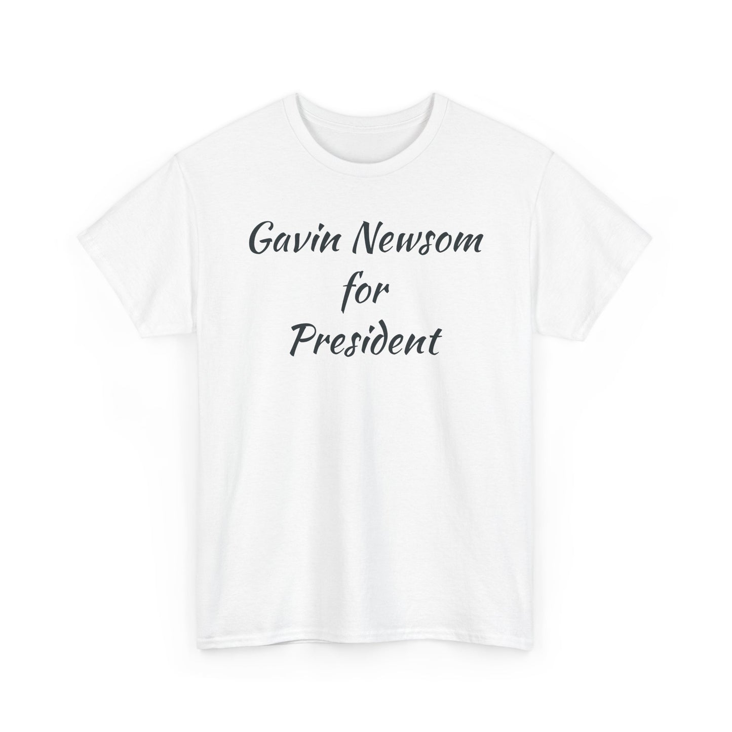 Gavin Newsom Campaign
