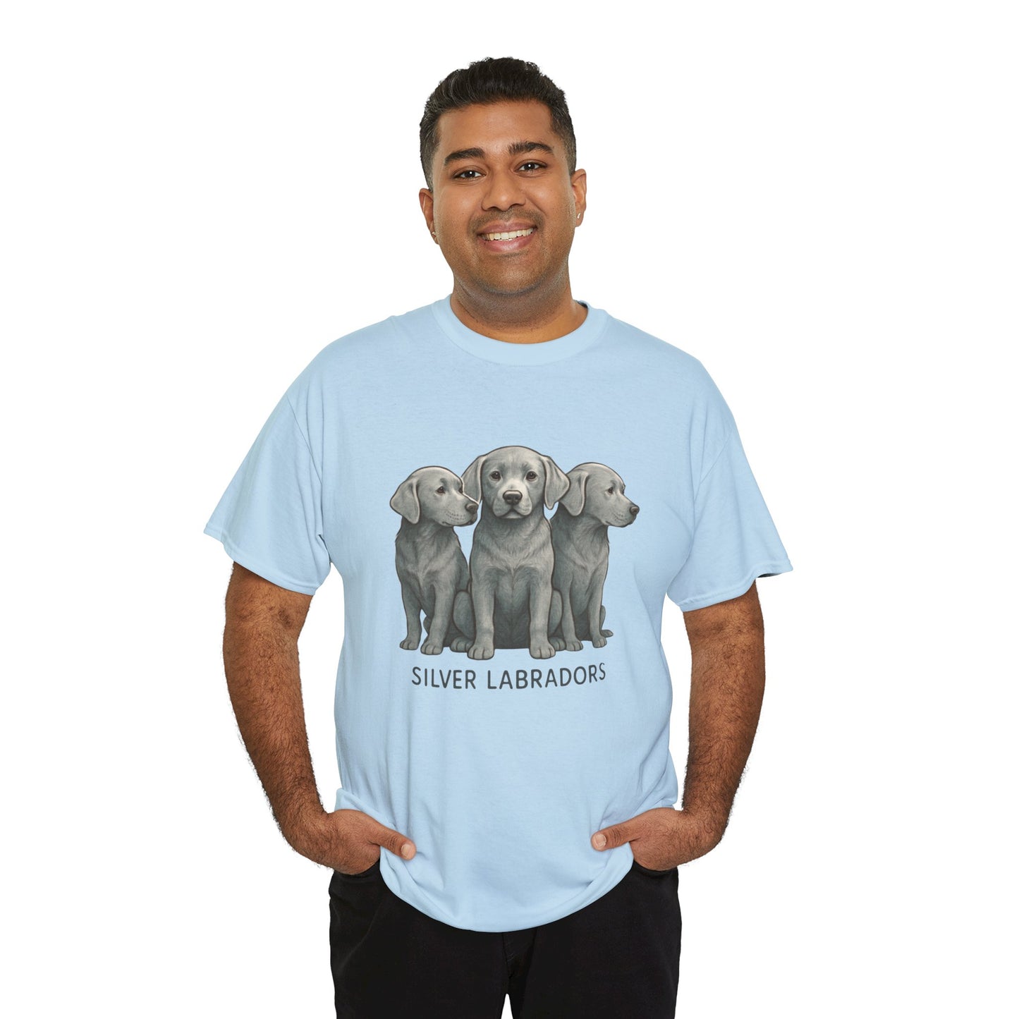 Silver Labrador