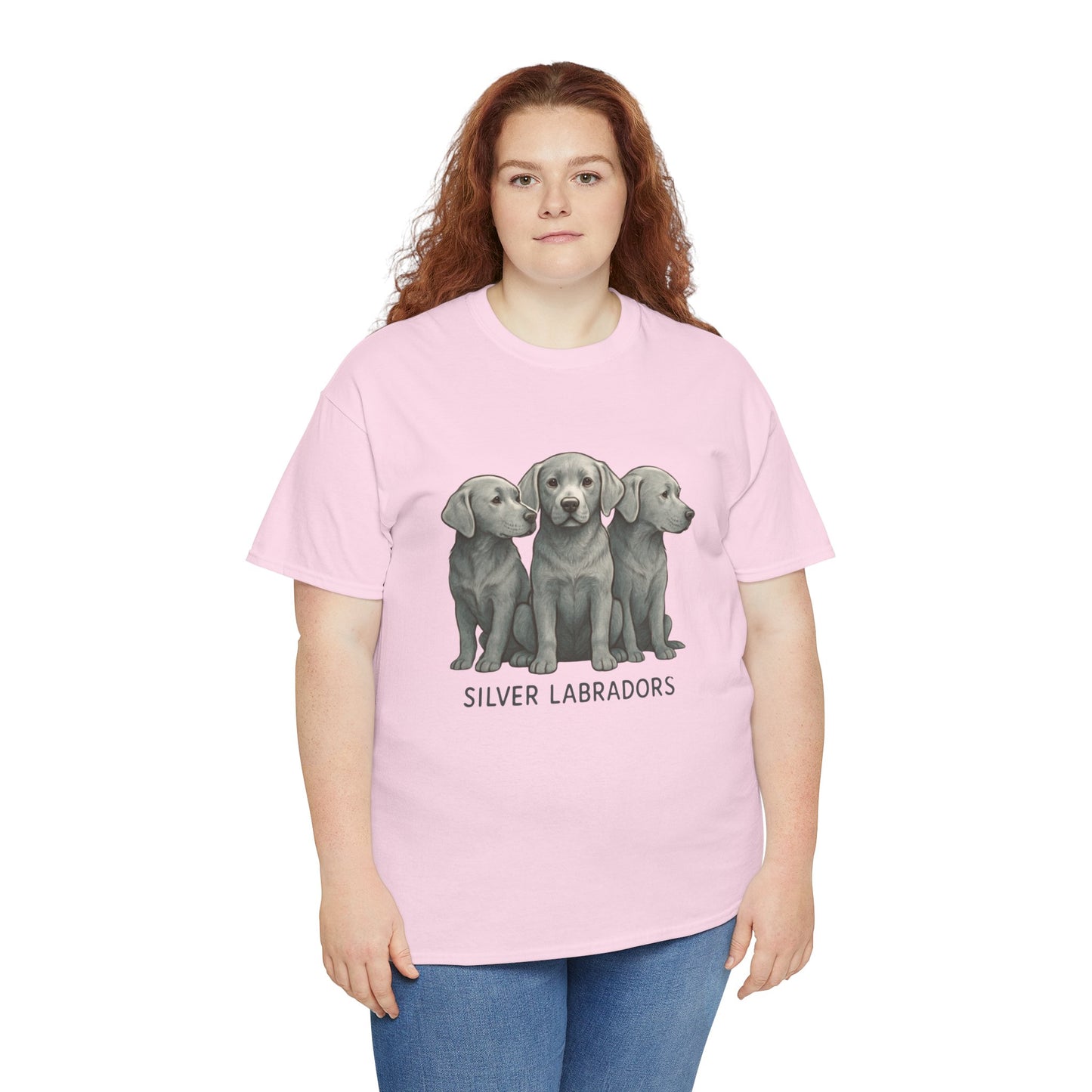 Silver Labrador