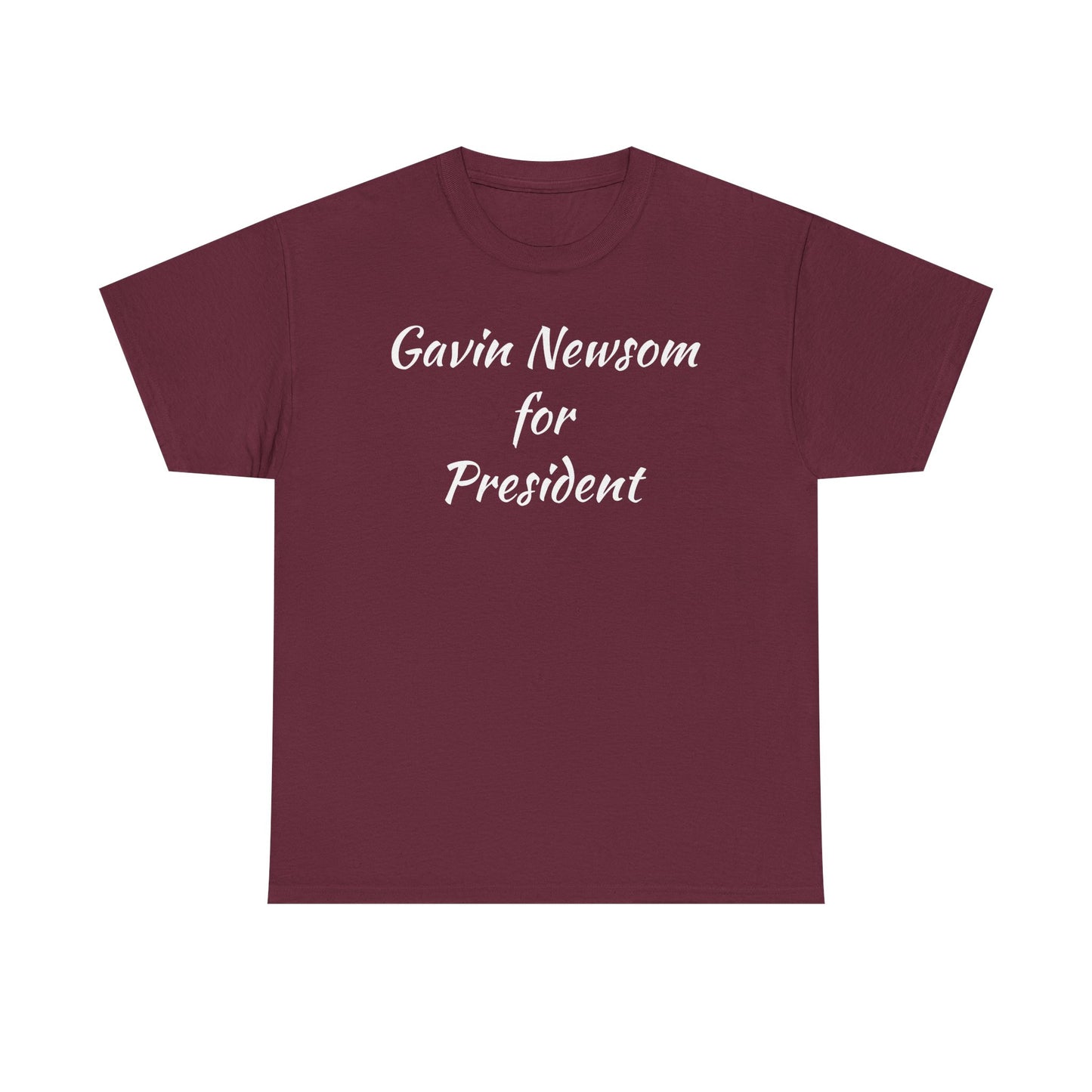 Gavin Newsom Campaign
