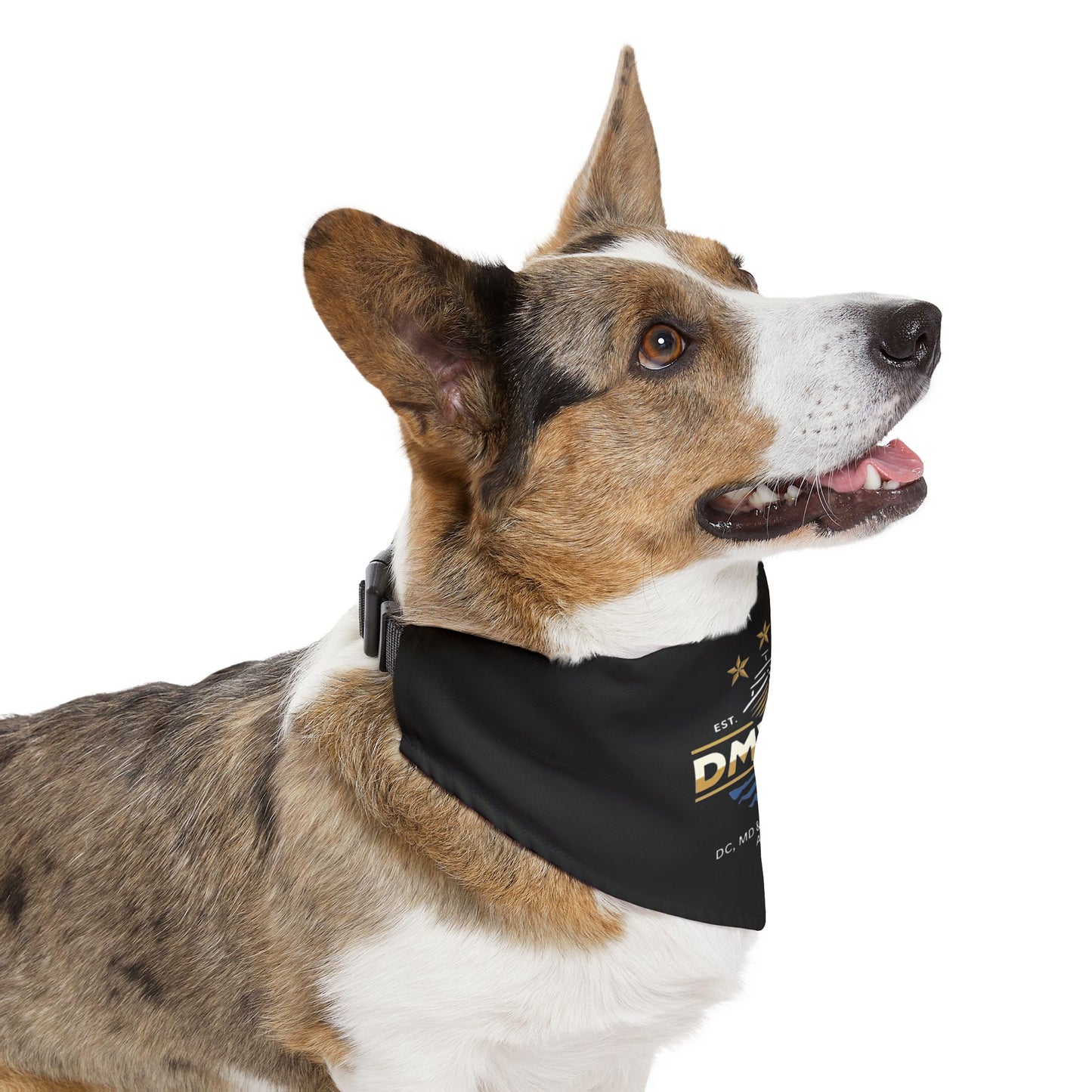 Pet Bandana Collar — DMVBOA Logo Dog Bandana for Waterfront & Boating Fans