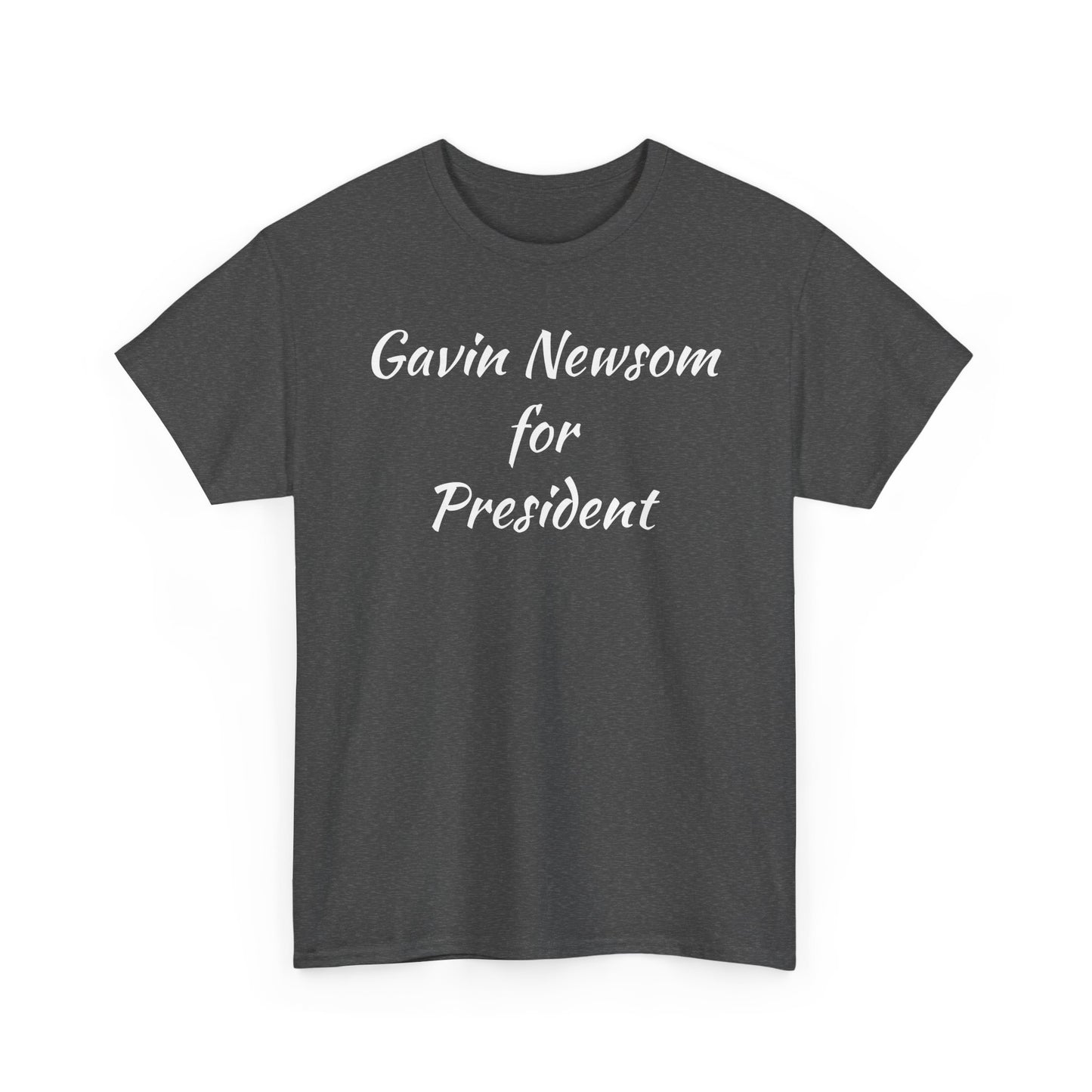 Gavin Newsom Campaign