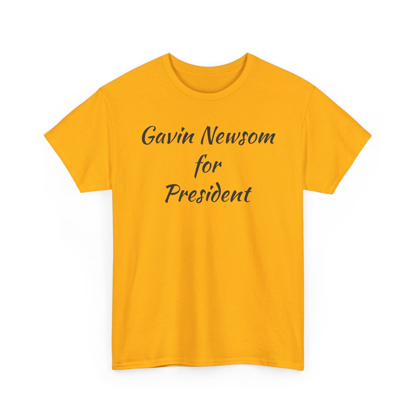 Gavin Newsom Campaign