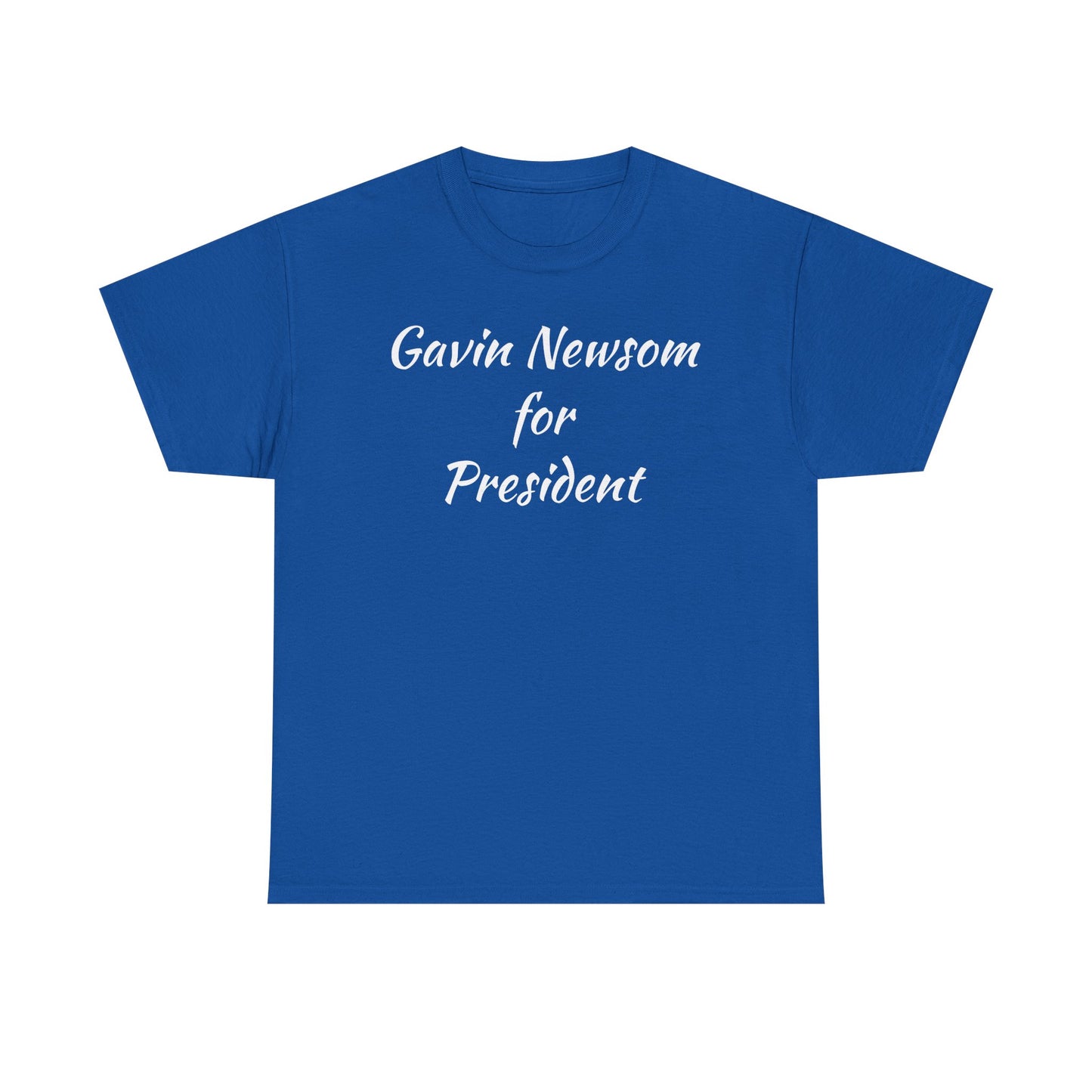 Gavin Newsom Campaign