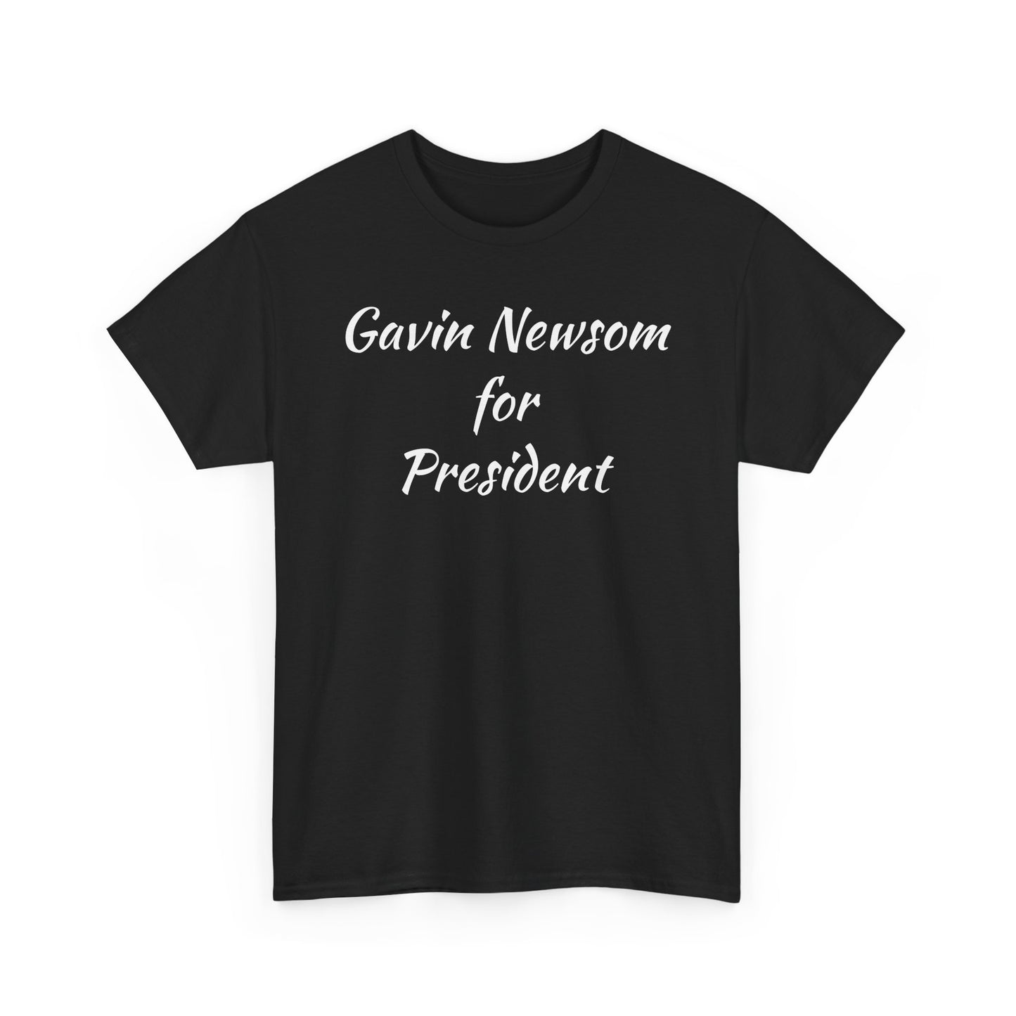 Gavin Newsom Campaign