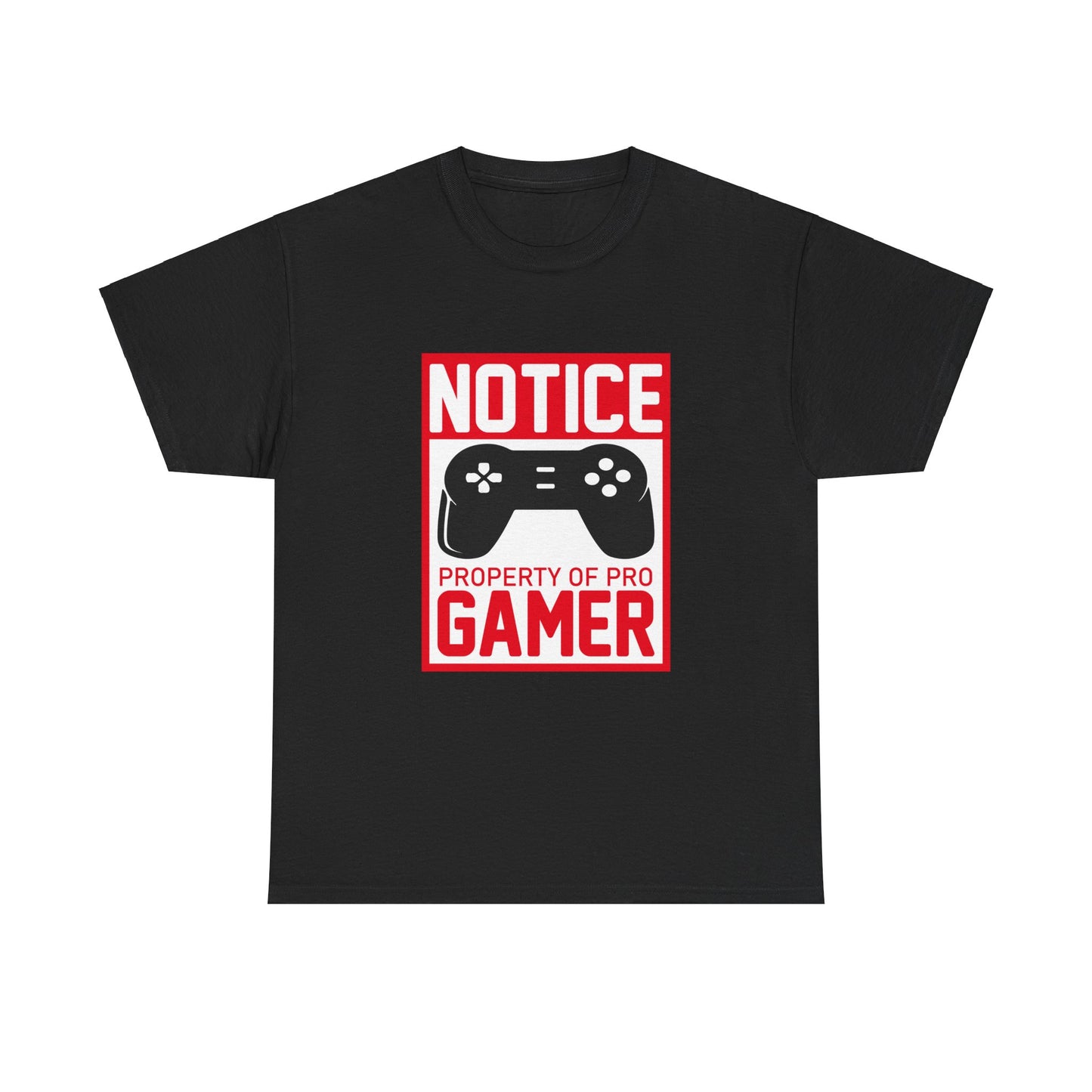 Pro Gamer Notice