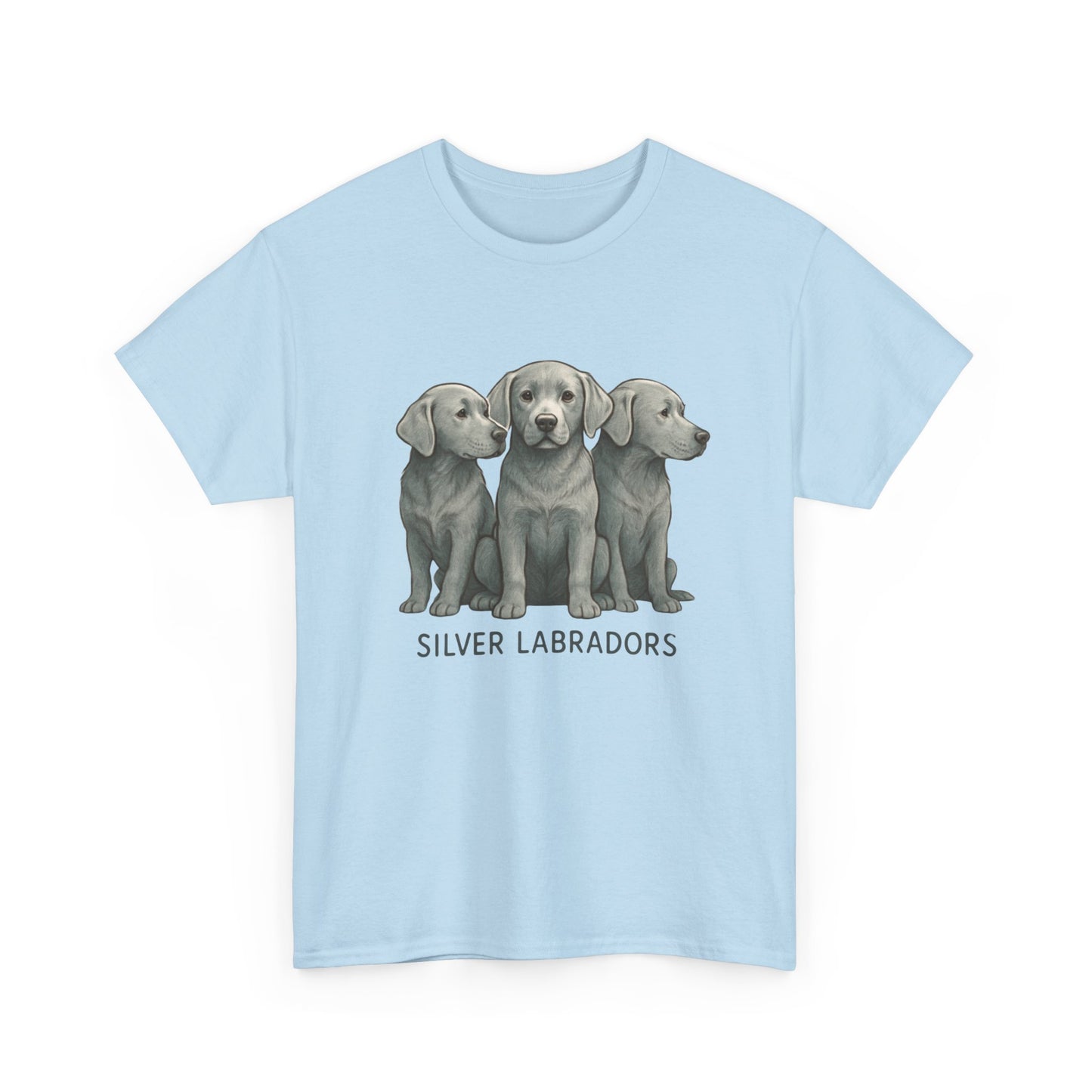 Silver Labrador