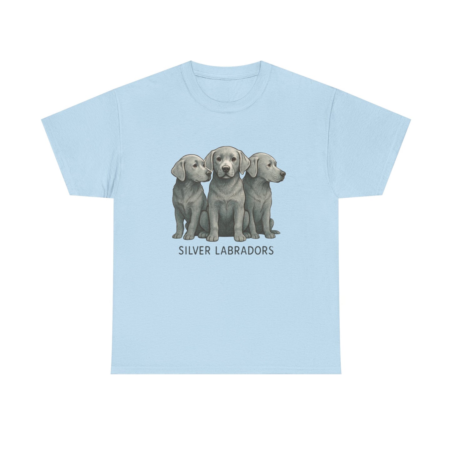 Silver Labrador