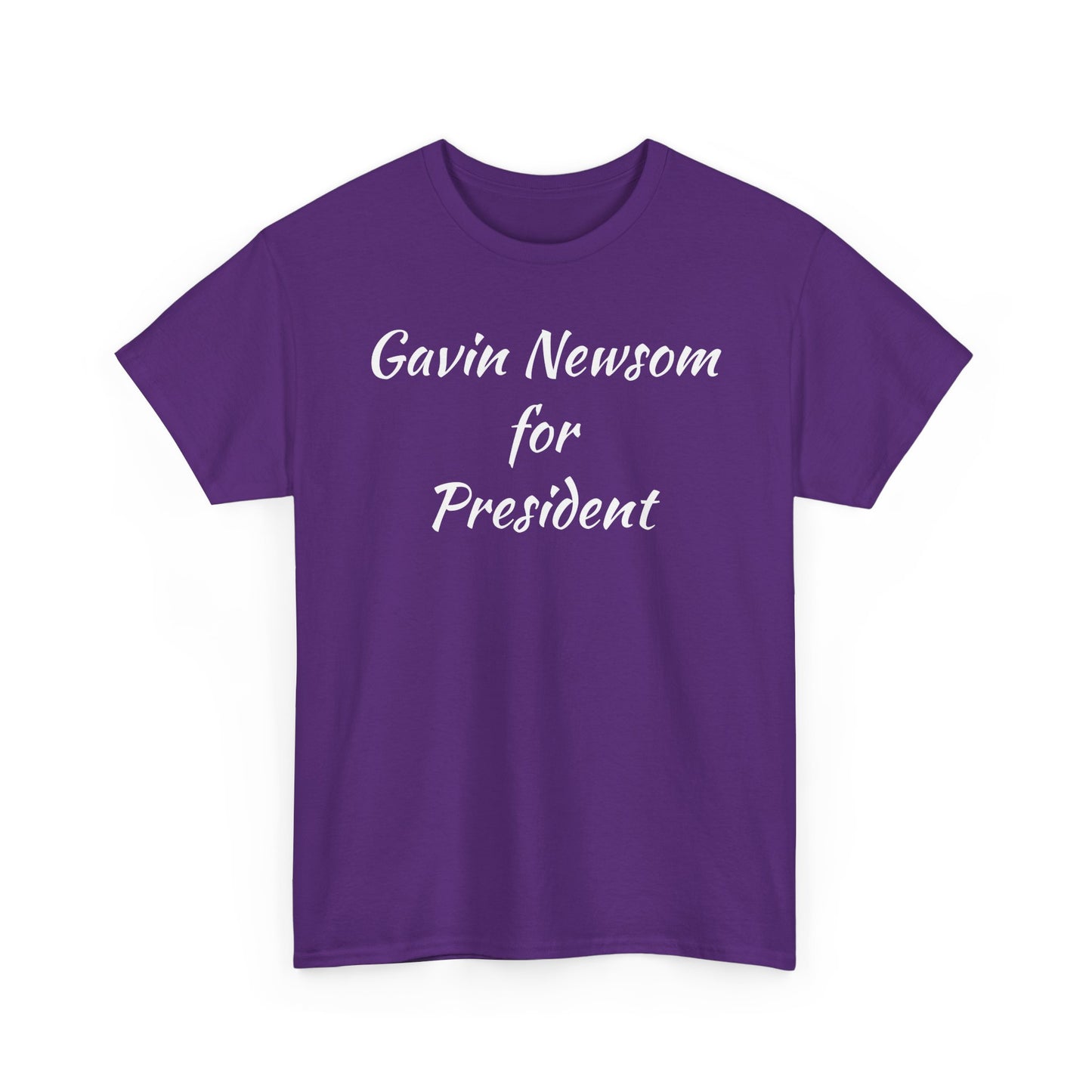 Gavin Newsom Campaign