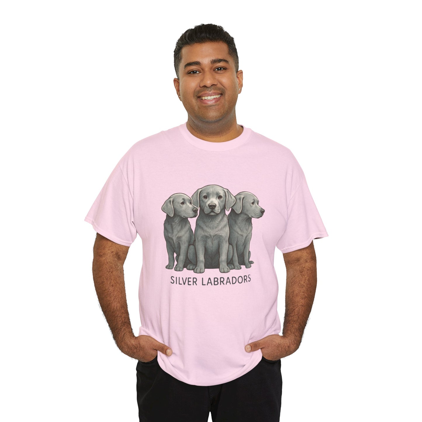 Silver Labrador