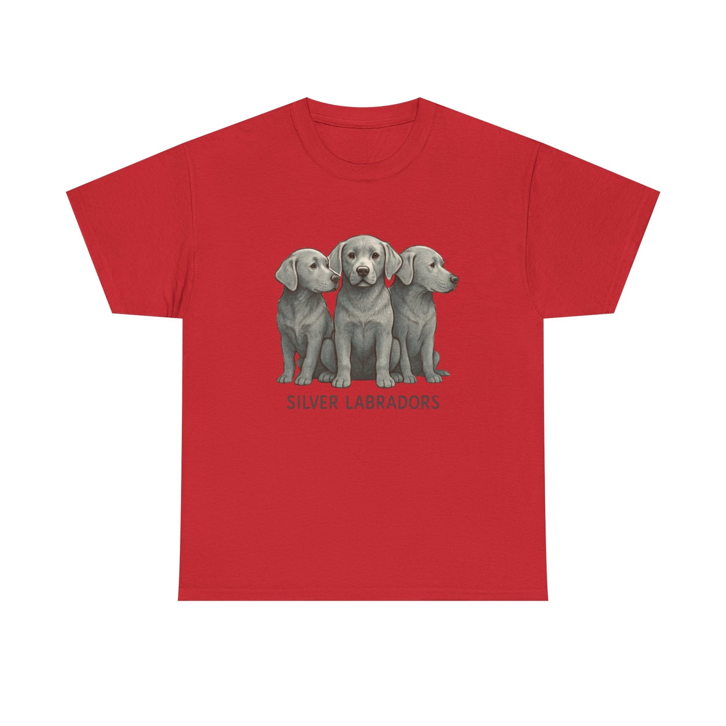 Silver Labrador