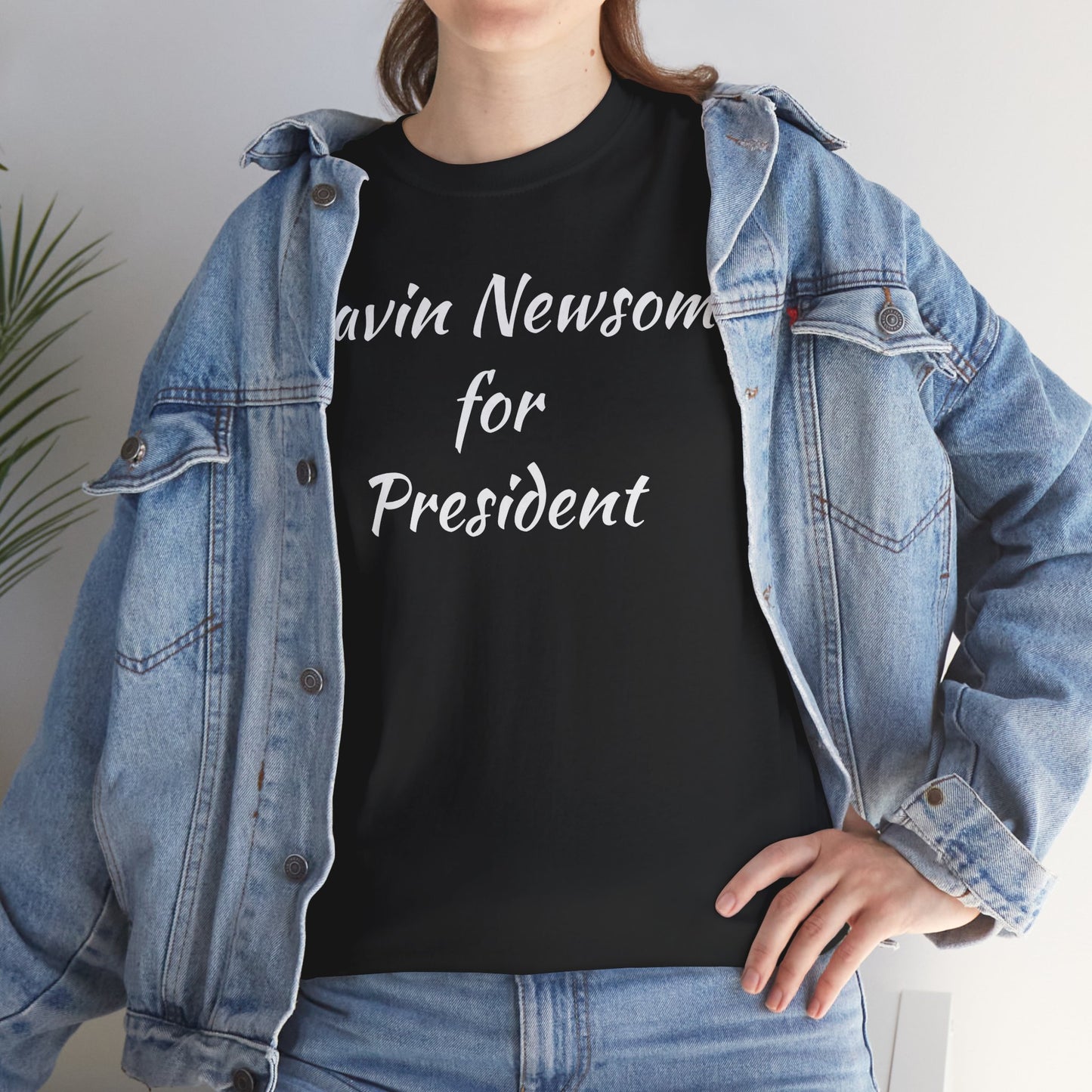 Gavin Newsom Campaign