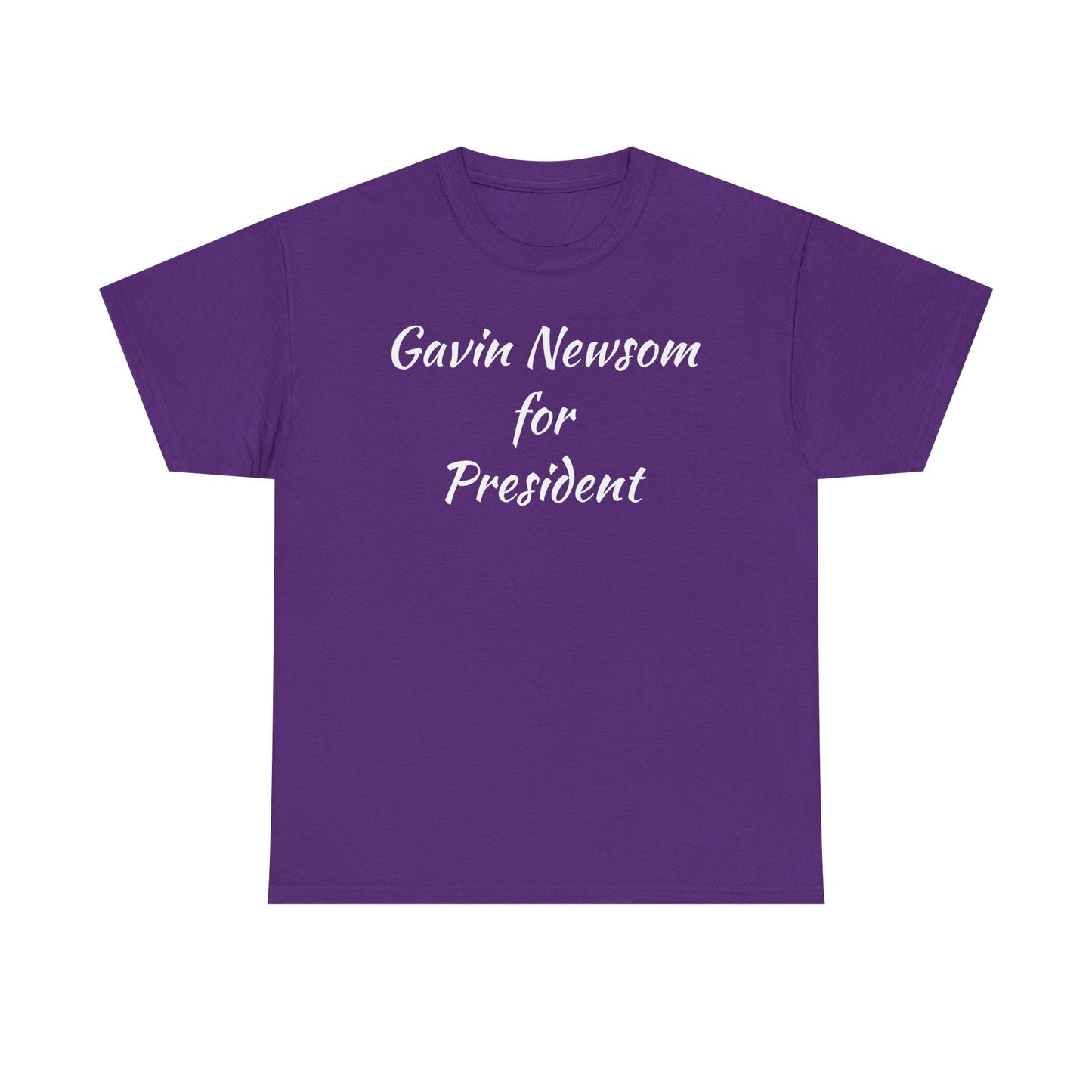 Gavin Newsom Campaign