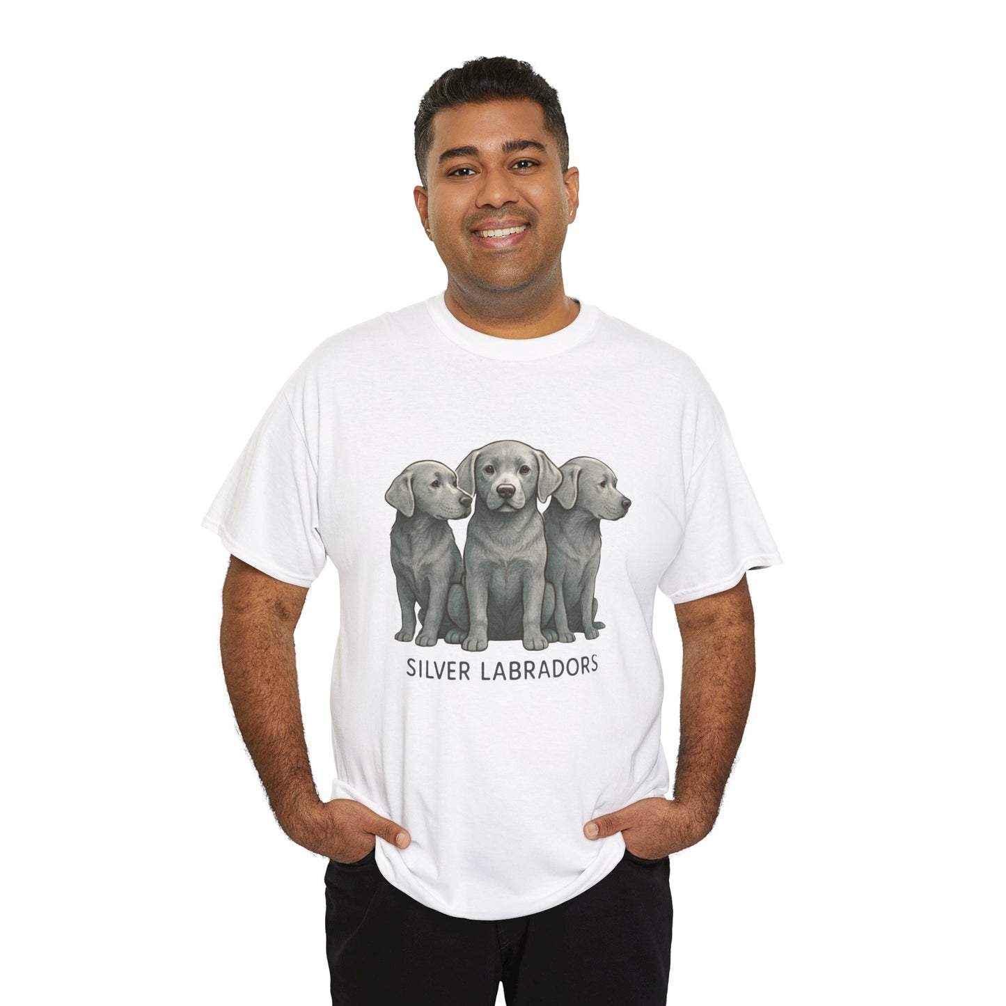 Silver Labrador