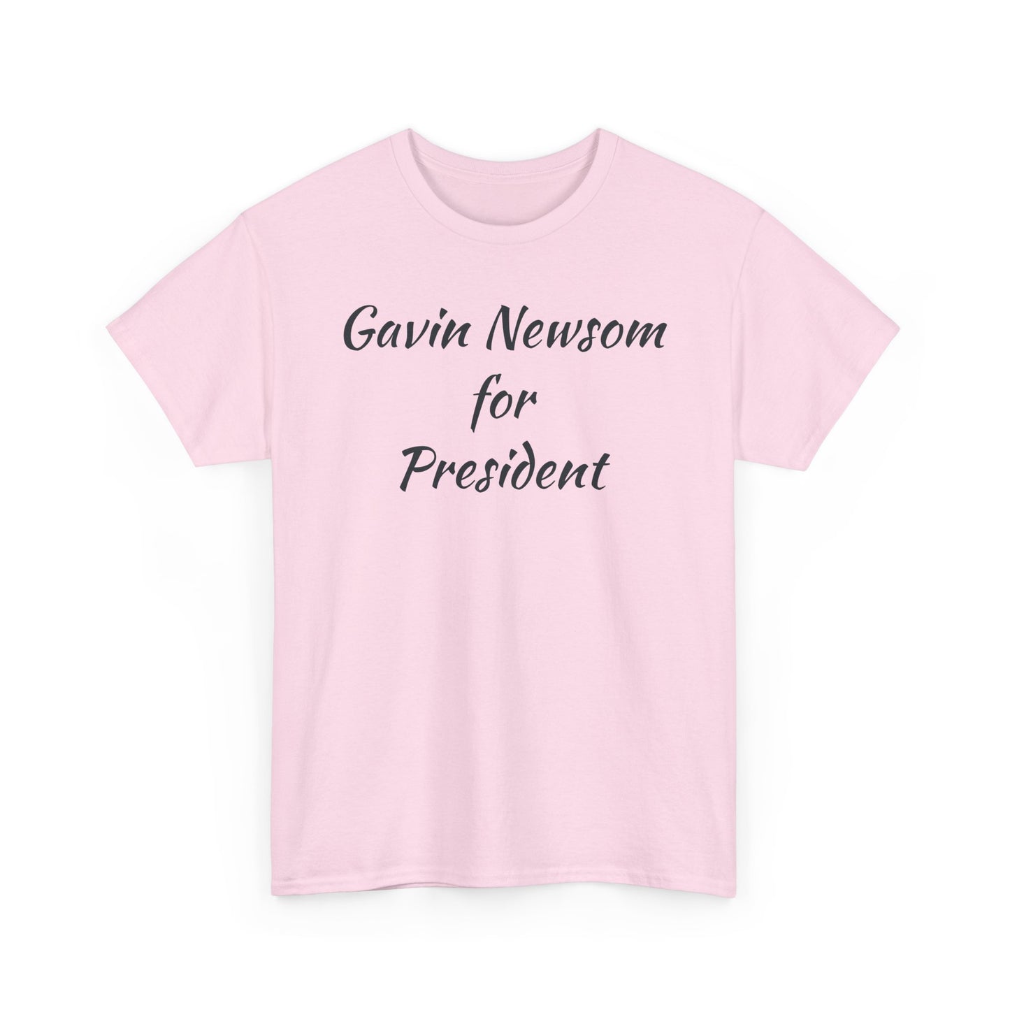 Gavin Newsom Campaign
