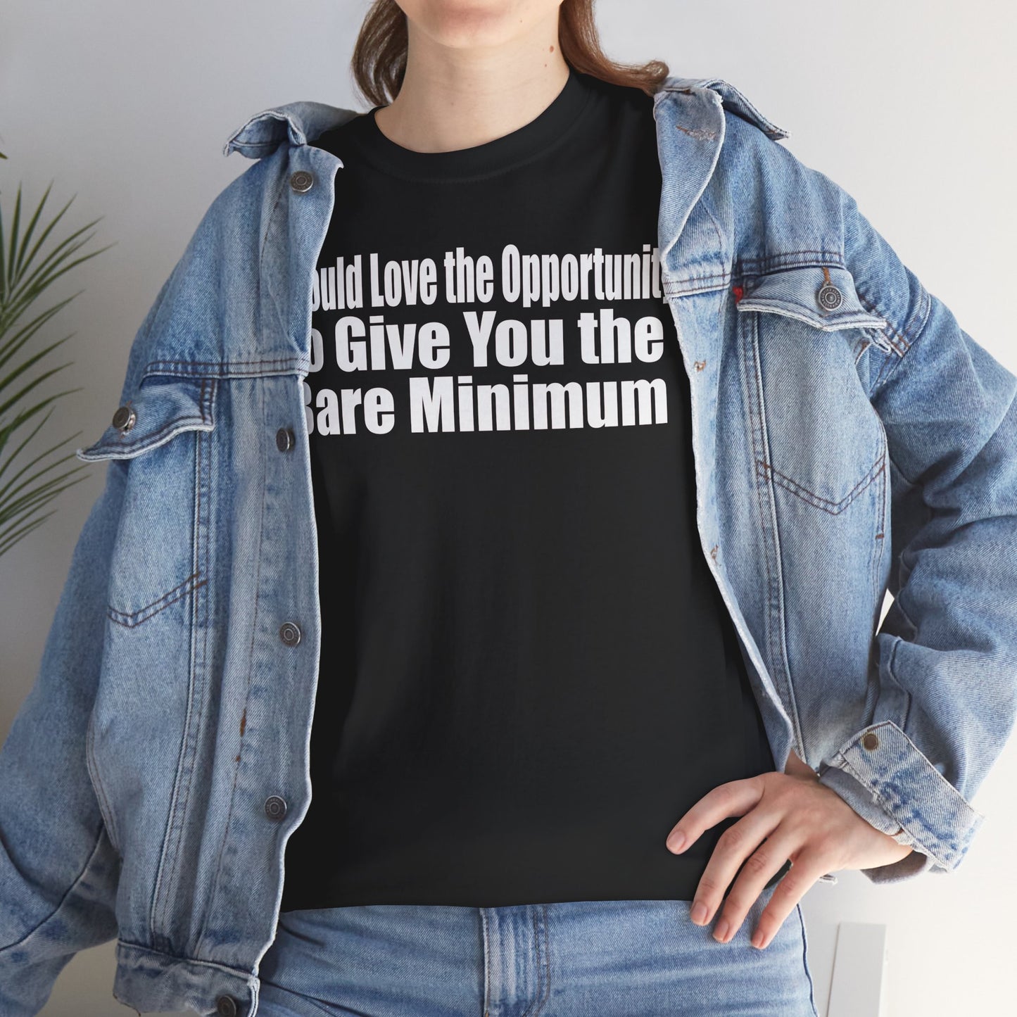 I Would Love the Opportunity to Give You the Bare Minimum