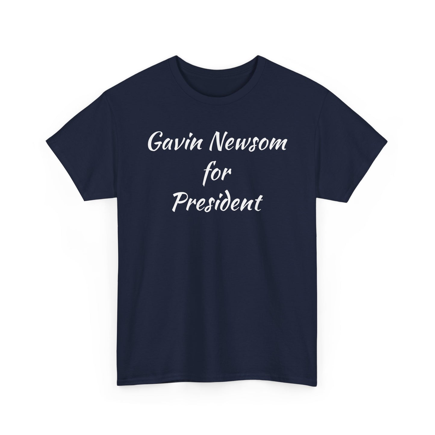 Gavin Newsom Campaign