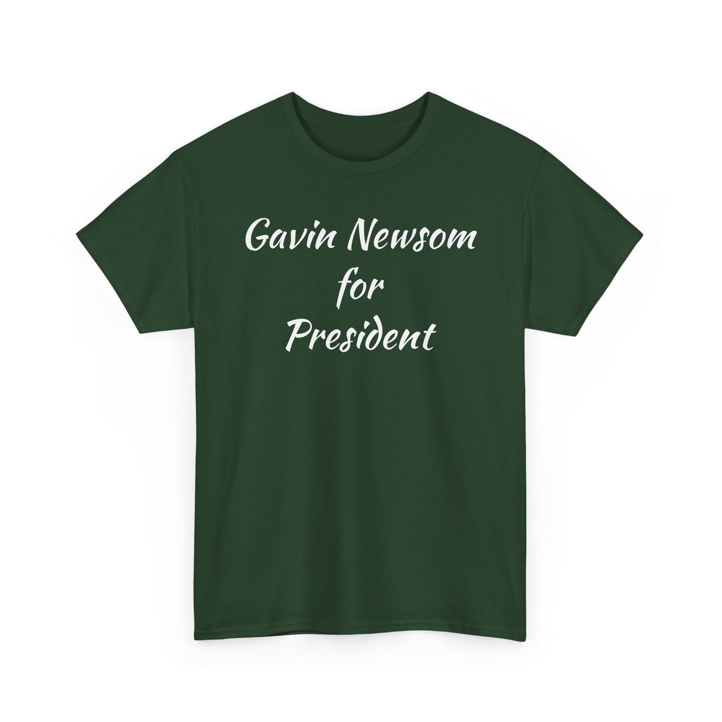 Gavin Newsom Campaign