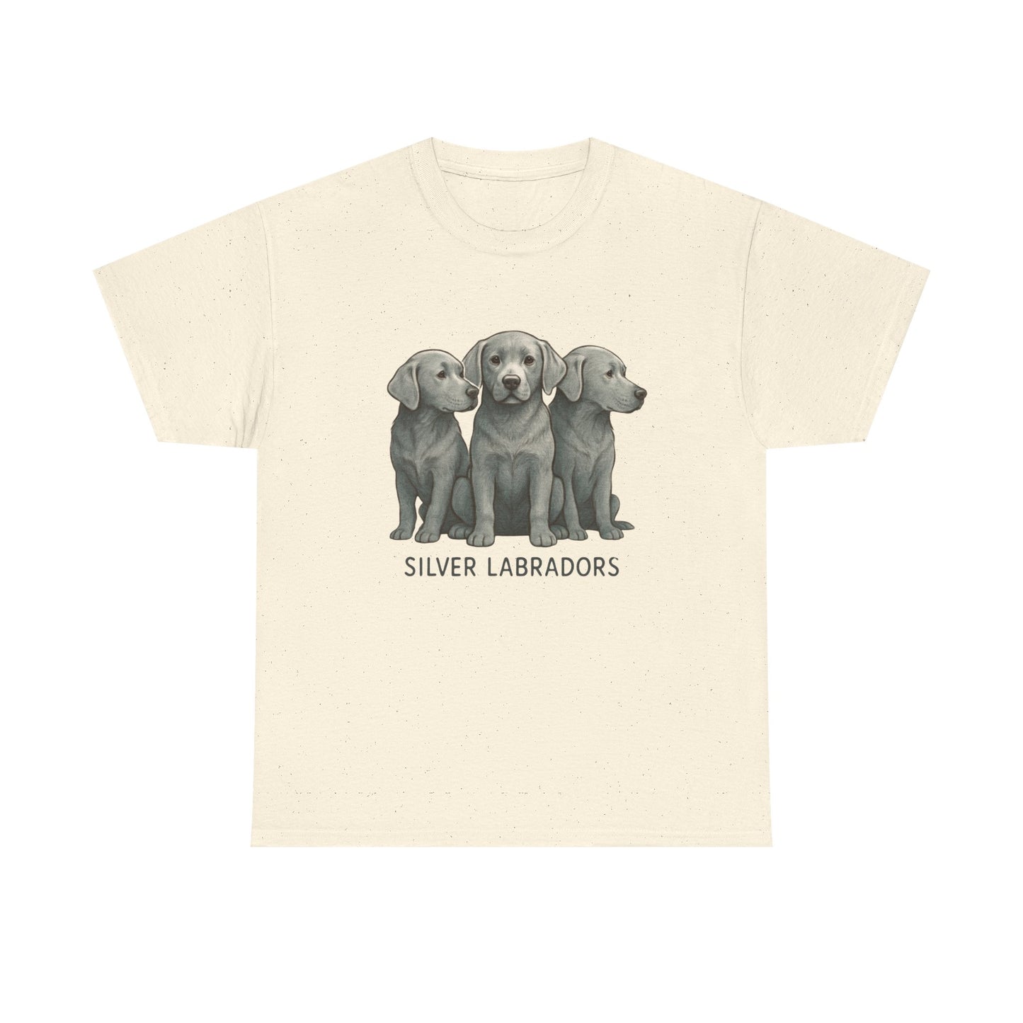 Silver Labrador