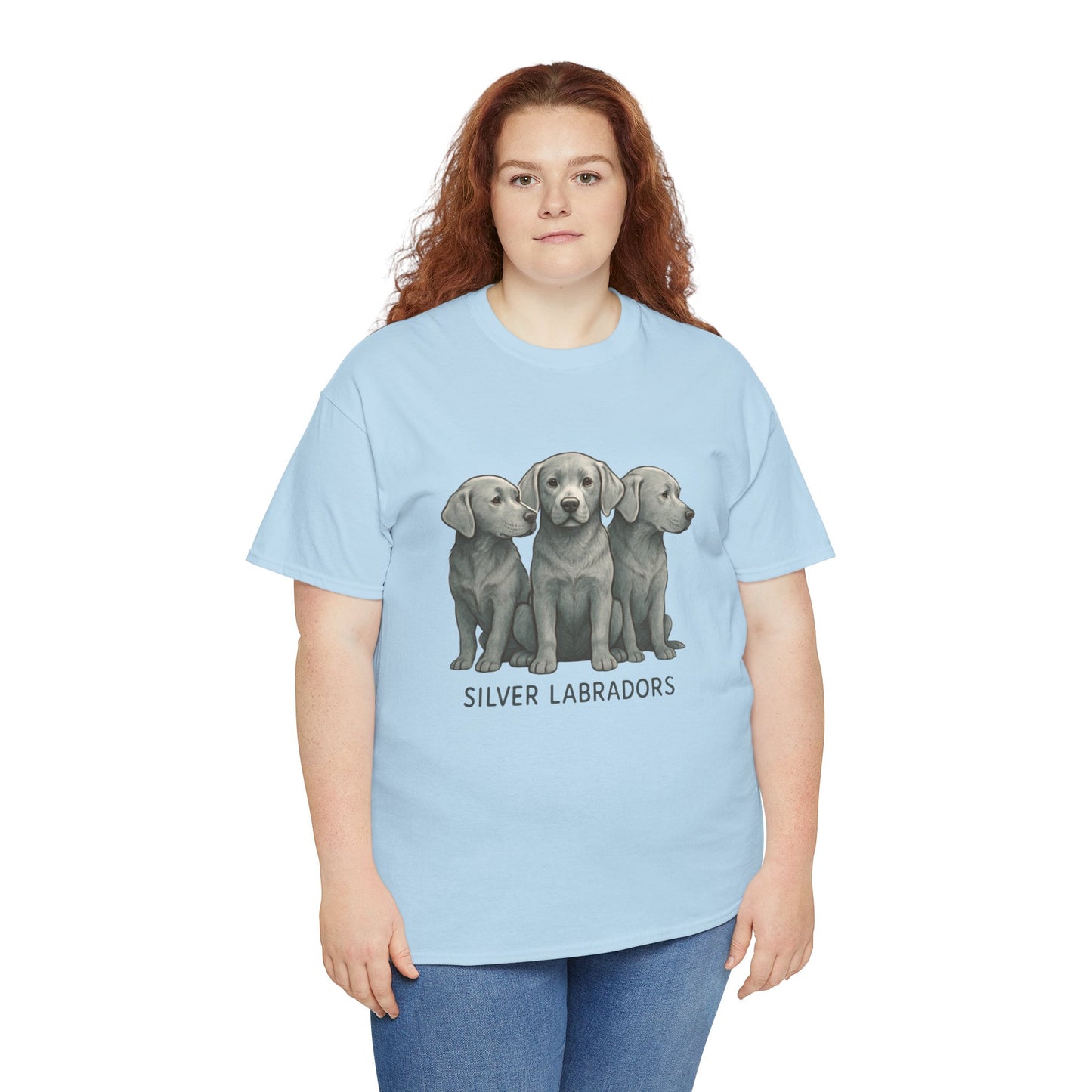 Silver Labrador