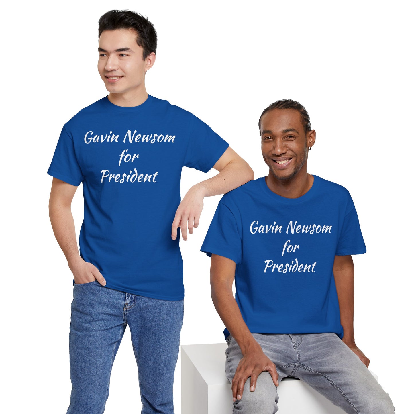 Gavin Newsom Campaign
