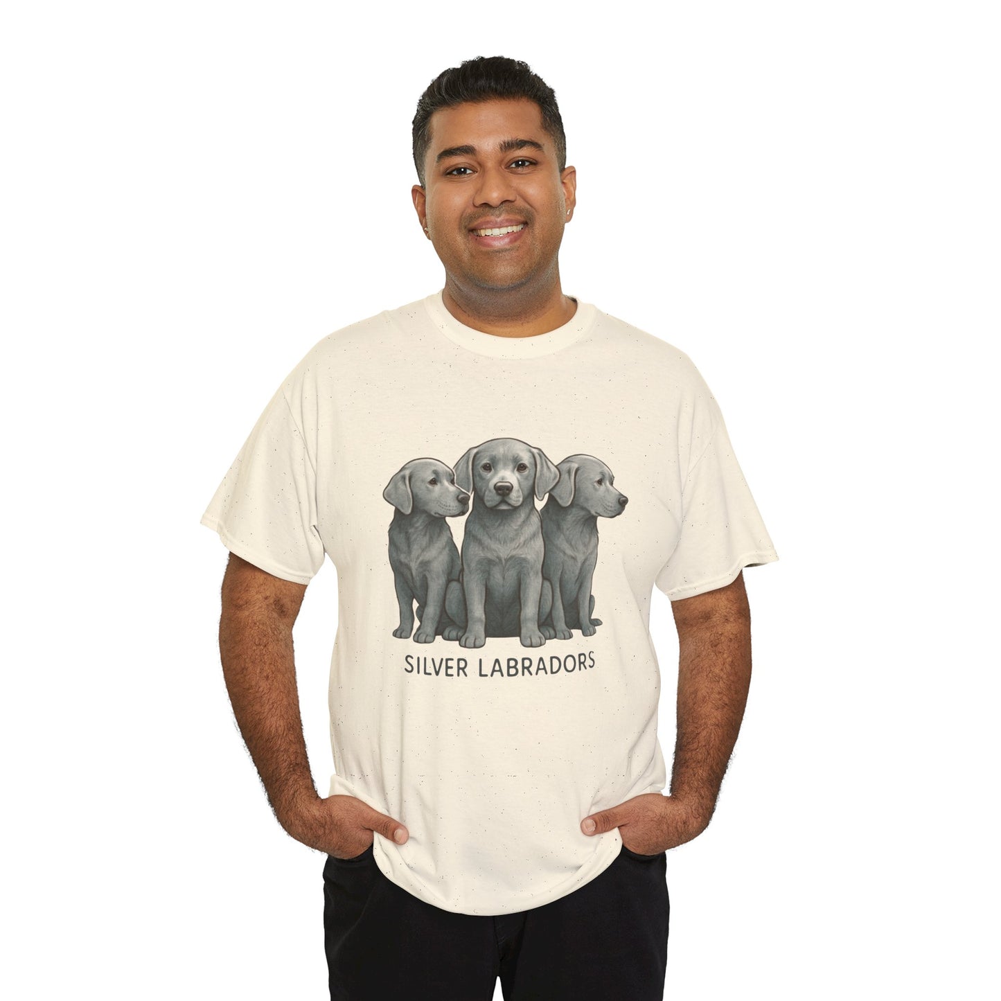 Silver Labrador