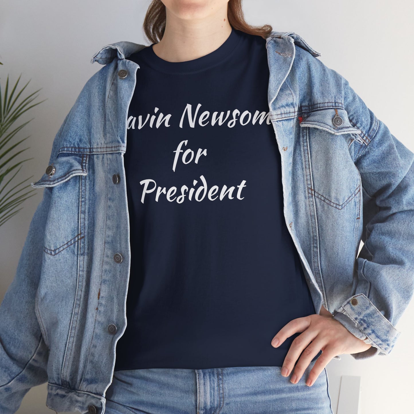 Gavin Newsom Campaign