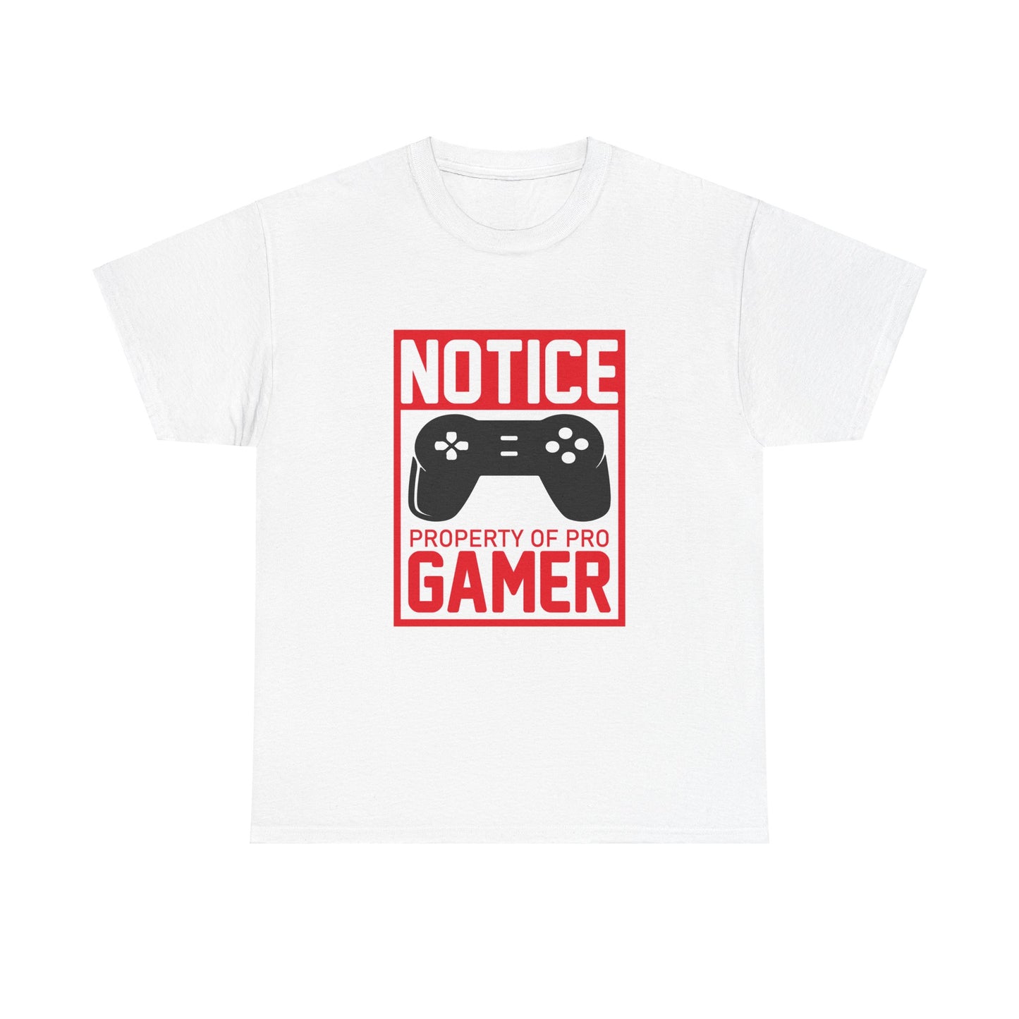 Pro Gamer Notice