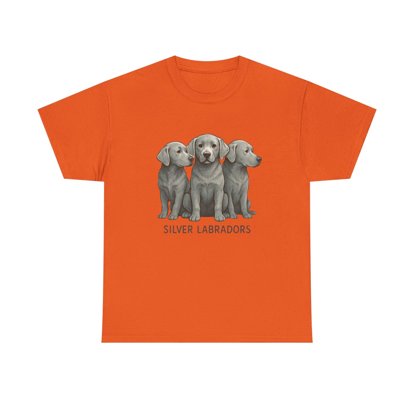 Silver Labrador