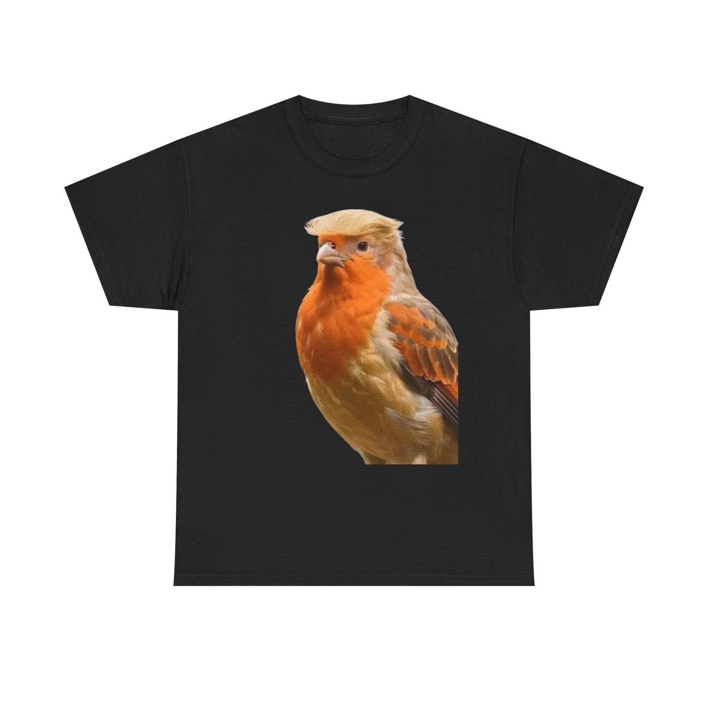 Robin Illustration T-Shirt — Cute Red-Breast Bird Graphic Tee
