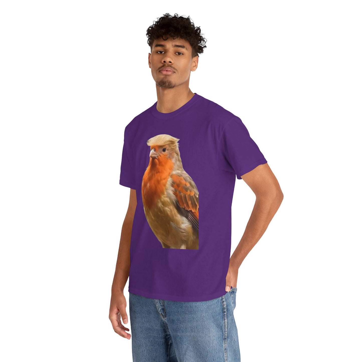 Robin Illustration T-Shirt — Cute Red-Breast Bird Graphic Tee