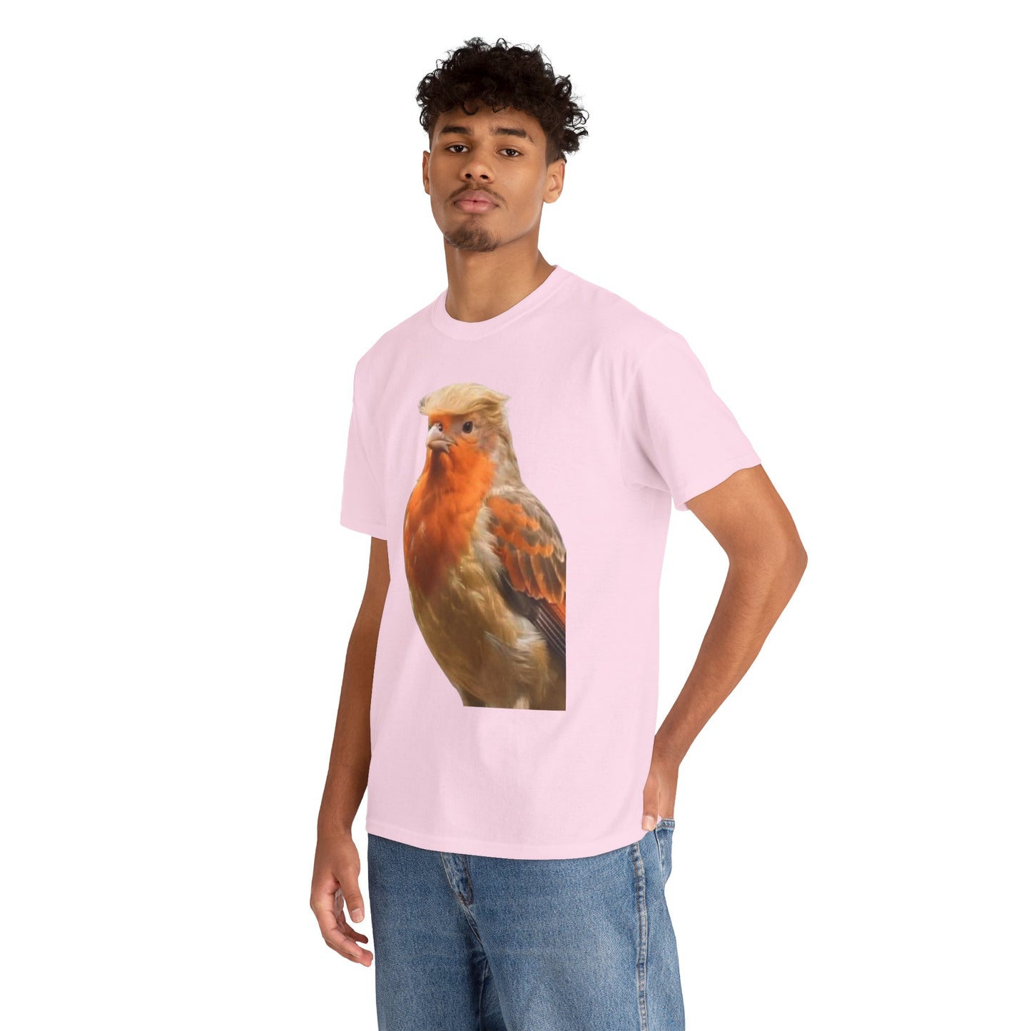 Robin Illustration T-Shirt — Cute Red-Breast Bird Graphic Tee