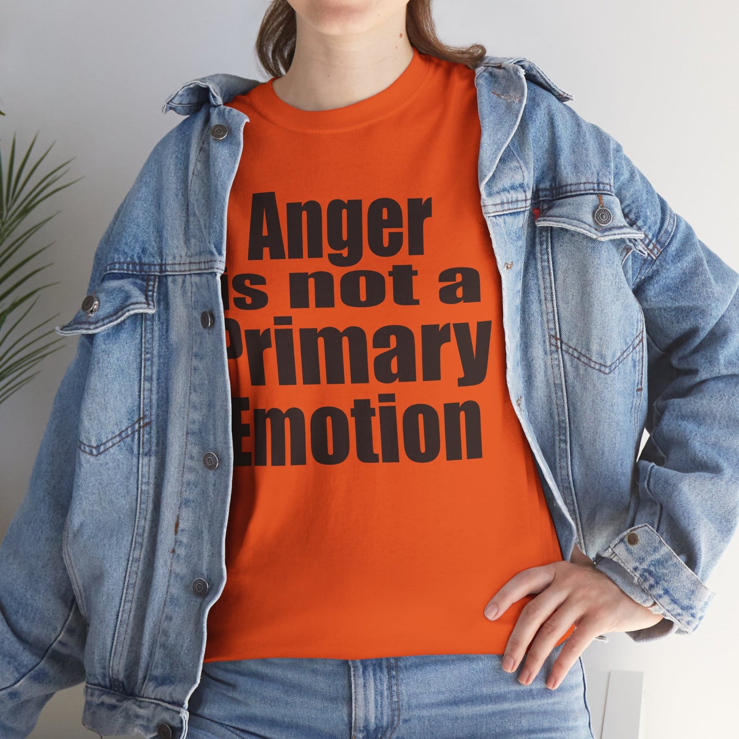 Anger is not a Primary Emotion