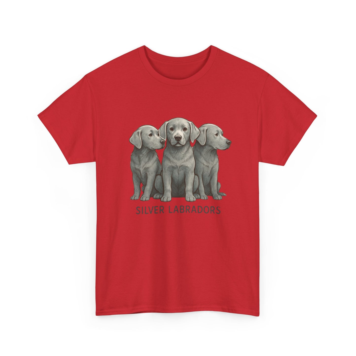 Silver Labrador